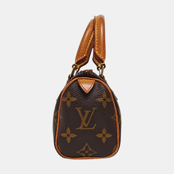 SPEEDY Nano Monogram Coated Canvas Brown