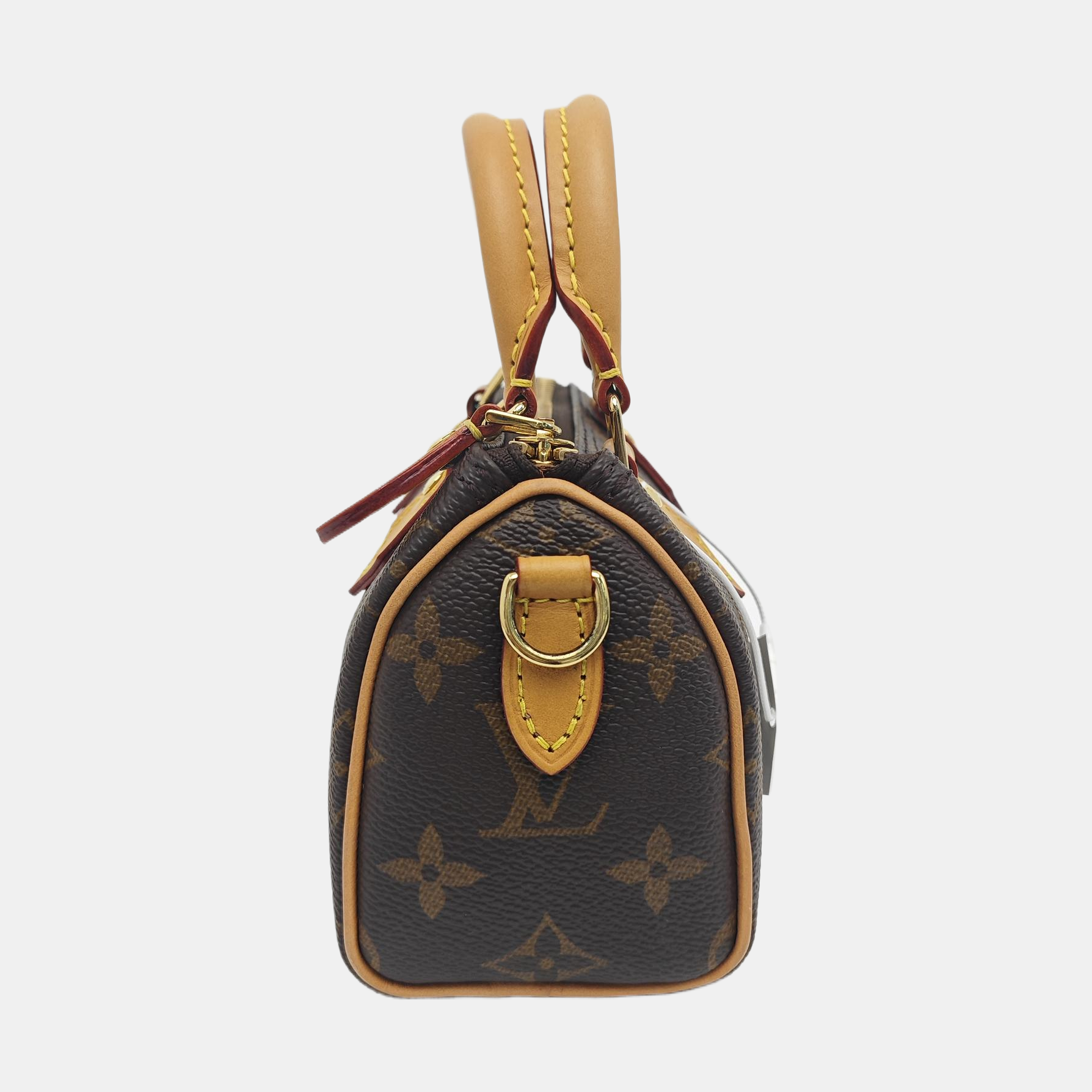 SPEEDY Nano Monogram Coated Canvas Brown