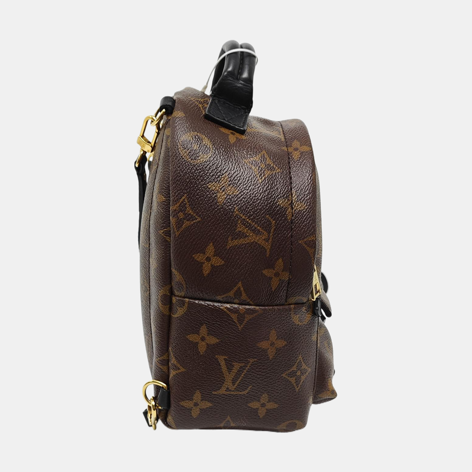 Authenticated pre-owned  PALM SPRINGS Mini Monogram Coated Canvas Brown - Backpack at Looply