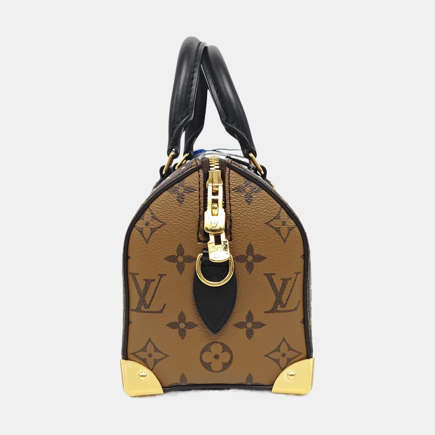 SPEEDY TRUNK 20 Monogram Coated Canvas Brown
