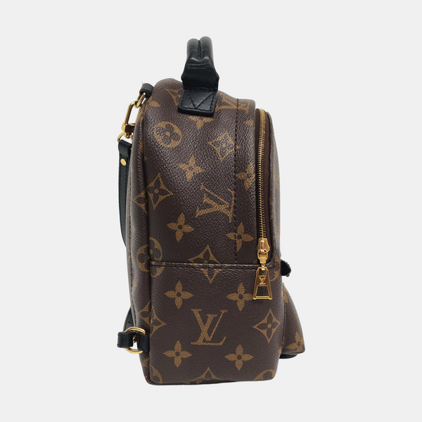 PALM SPRINGS Mini Monogram Coated Canvas Brown