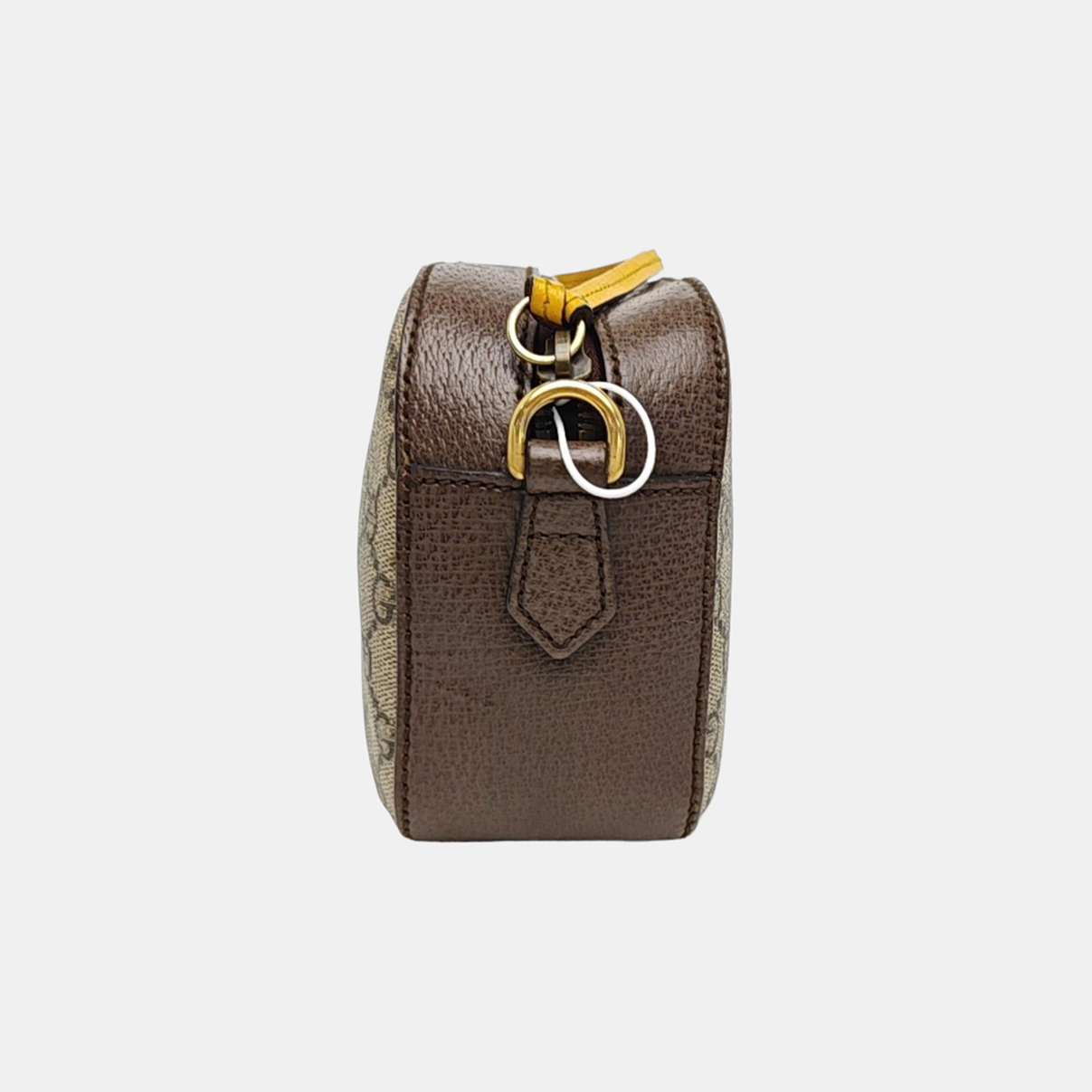 Neo Vintage Monogram Coated Canvas Beige