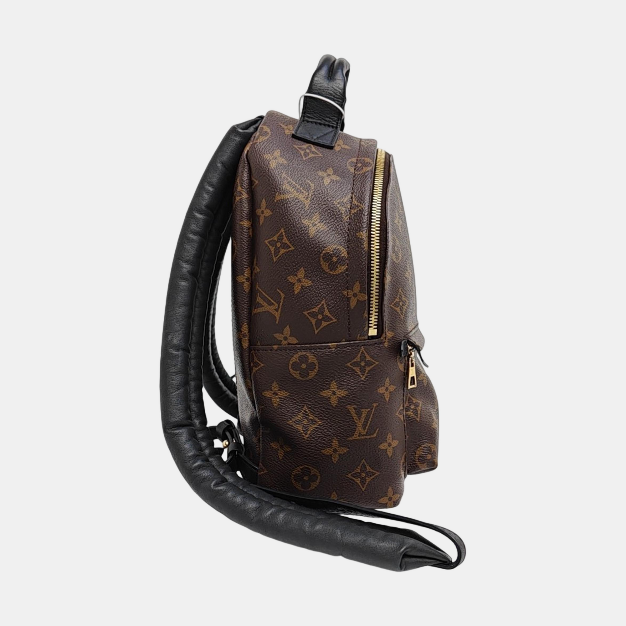 PALM SPRINGS PM Monogram Coated Canvas Brown