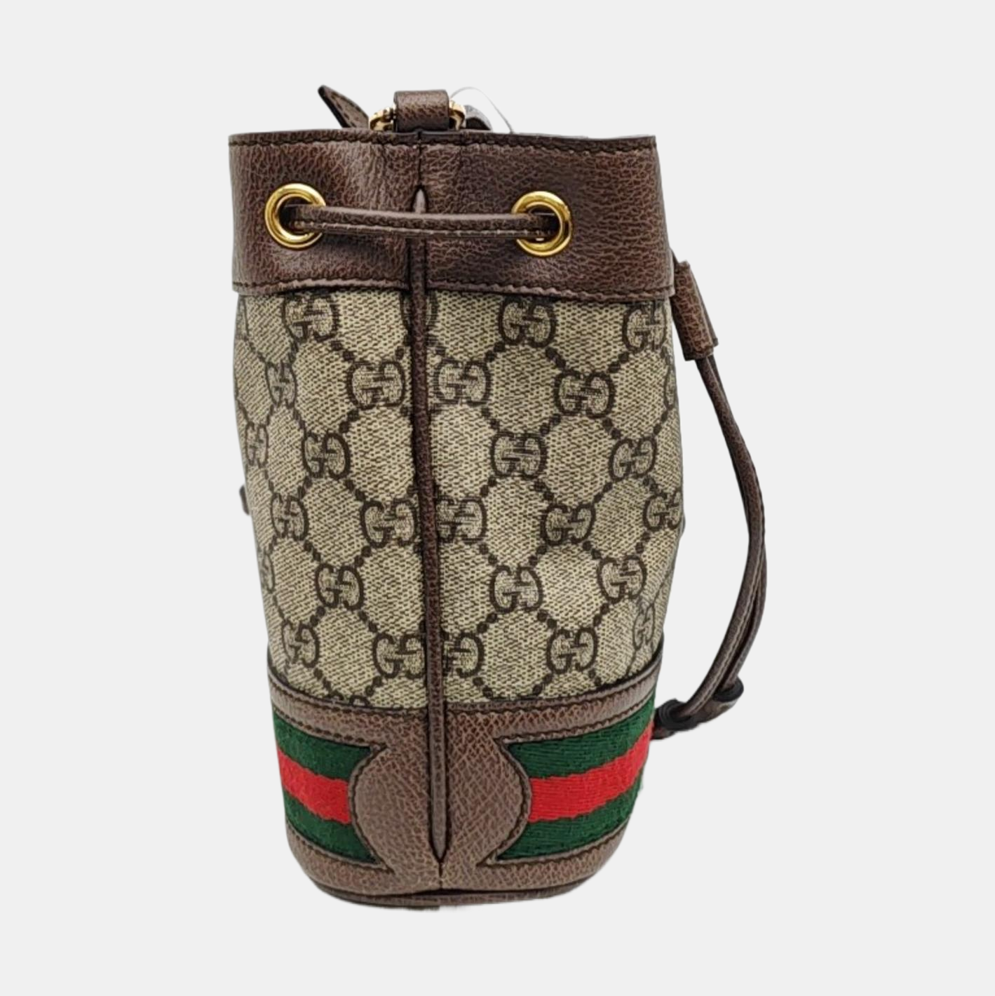 Ophidia Mini Monogram Coated Canvas Beige