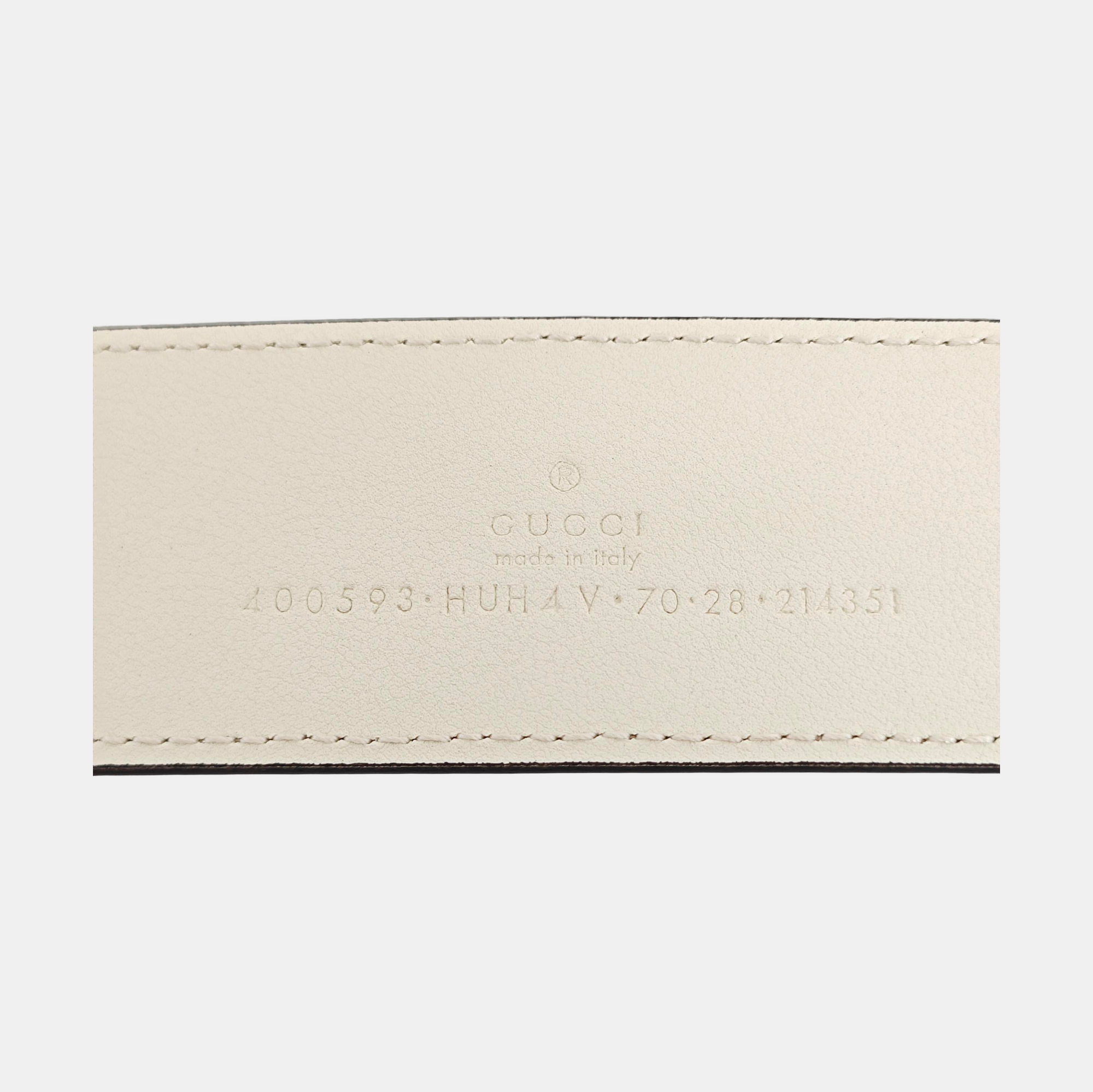 Coated Canvas Belt Beige