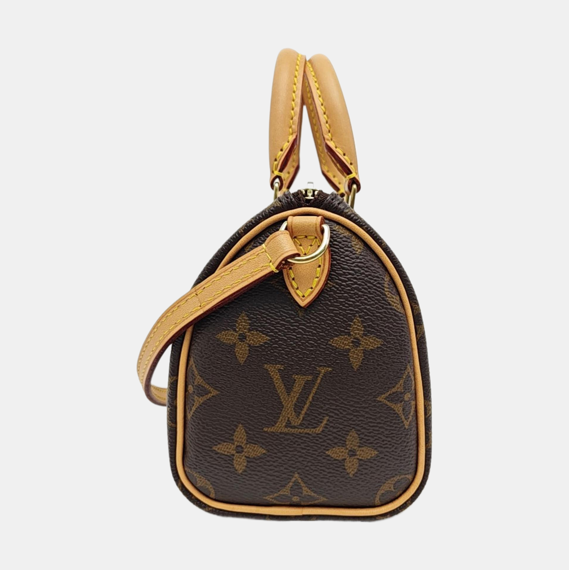 SPEEDY Nano Monogram Coated Canvas Brown