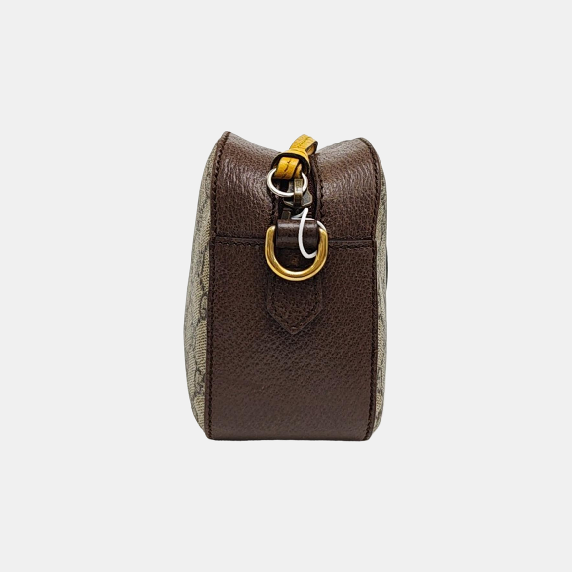 Neo Vintage Monogram Coated Canvas Beige