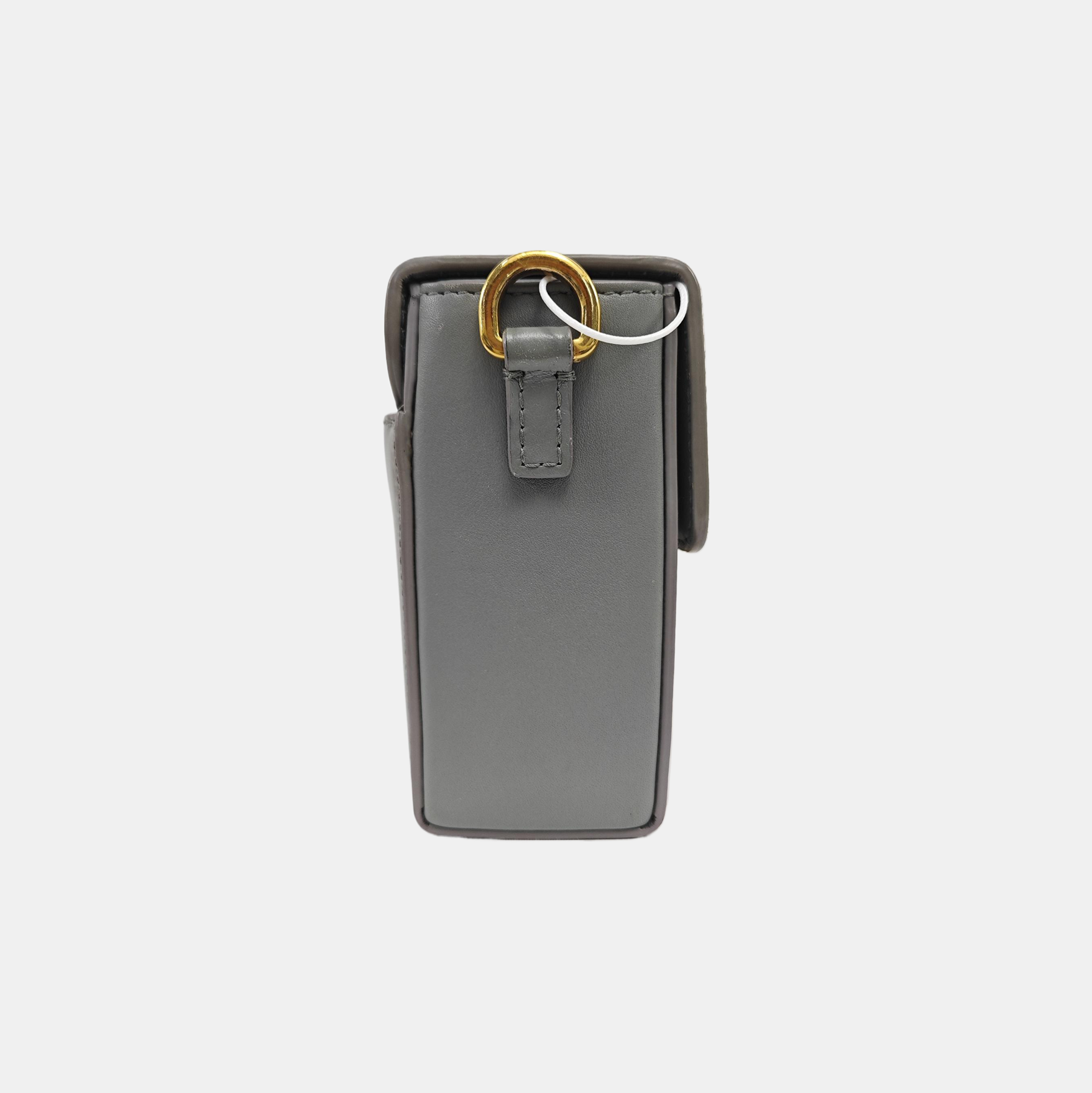 30 Montaigne Mini Calfskin Gray