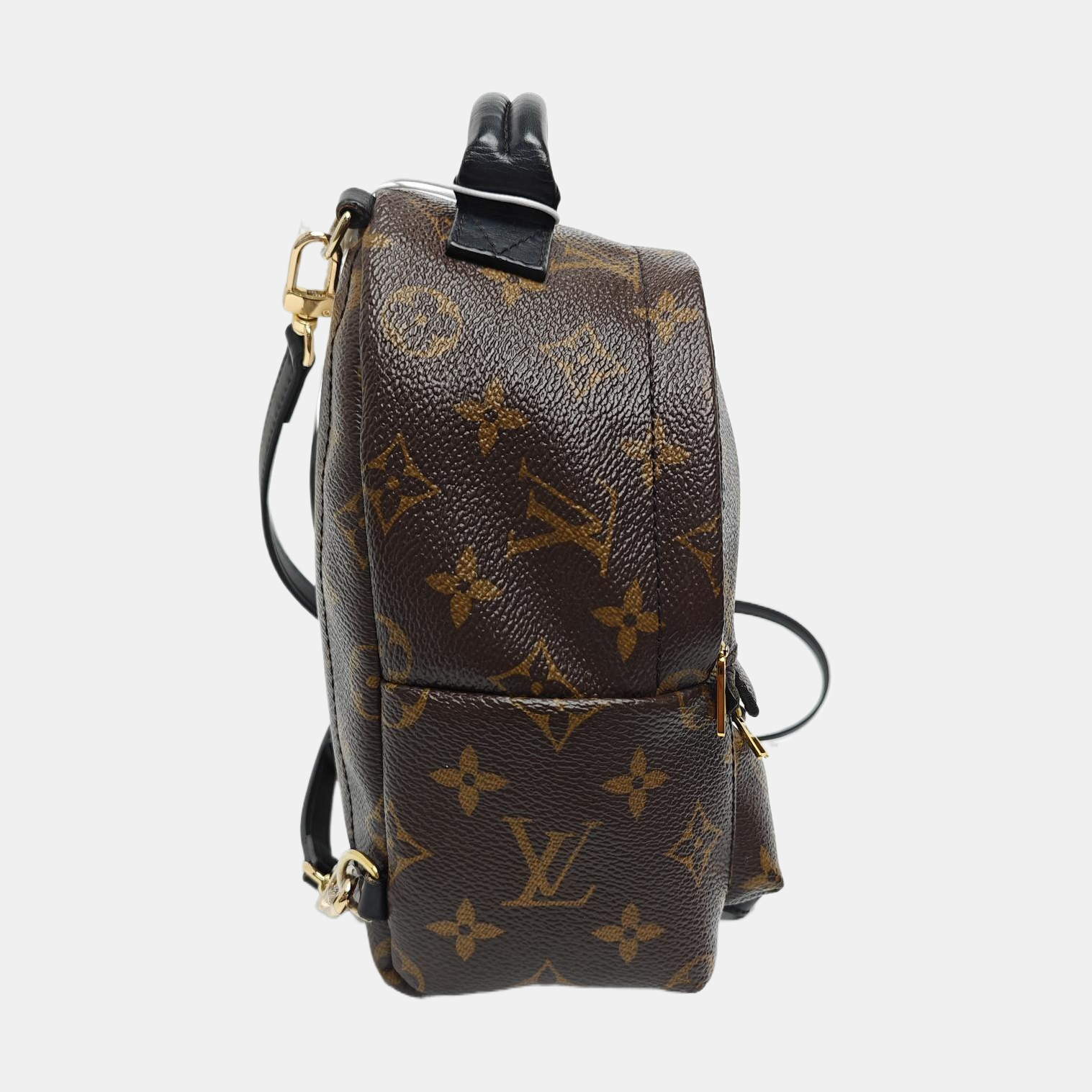 PALM SPRINGS Mini Monogram Coated Canvas Brown