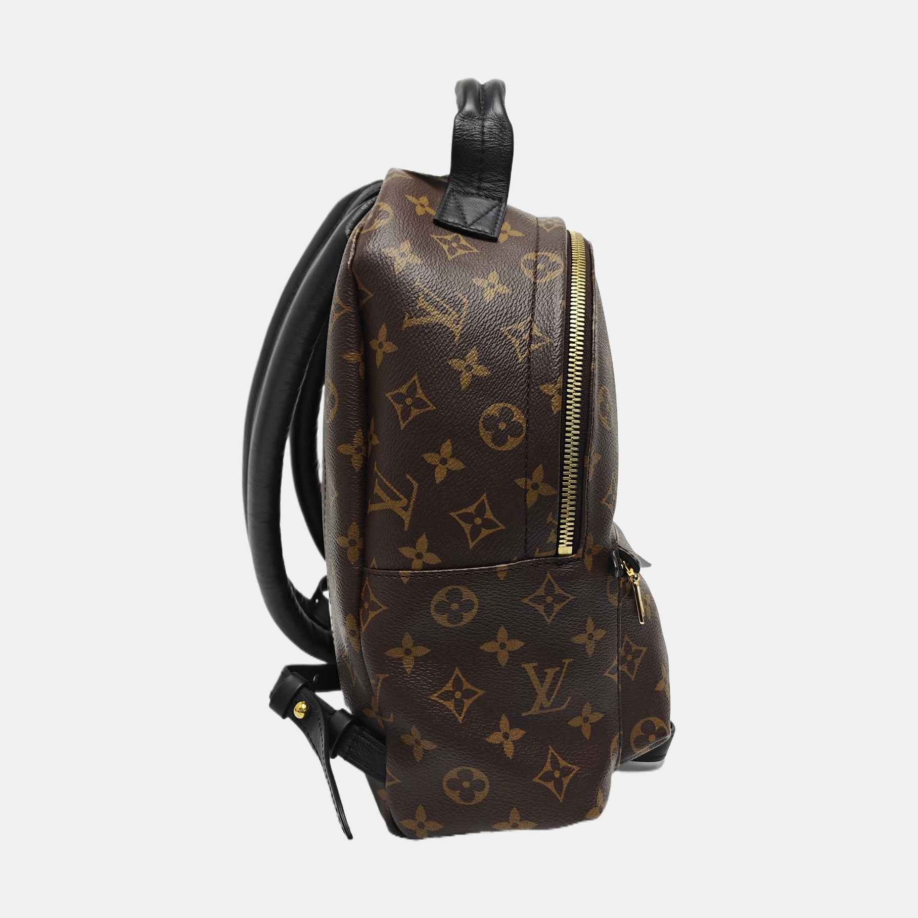 PALM SPRINGS PM Monogram Coated Canvas Brown