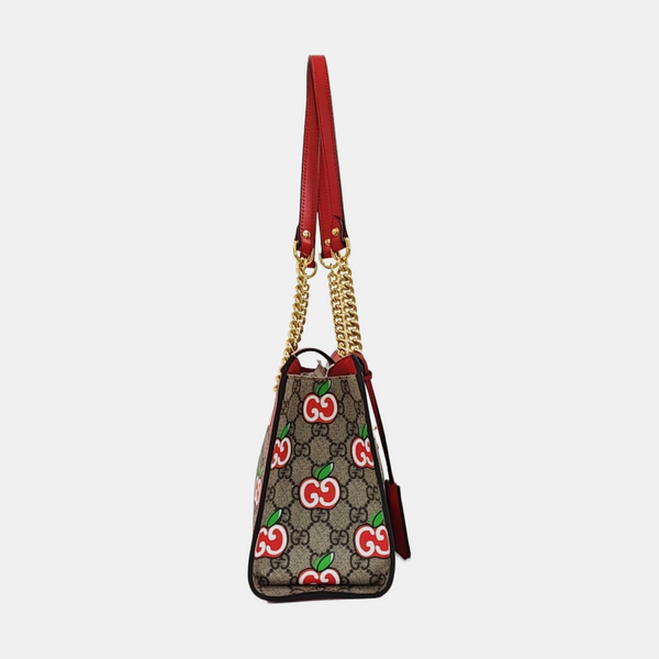 Padlock Small Monogram Coated Canvas Multicolor