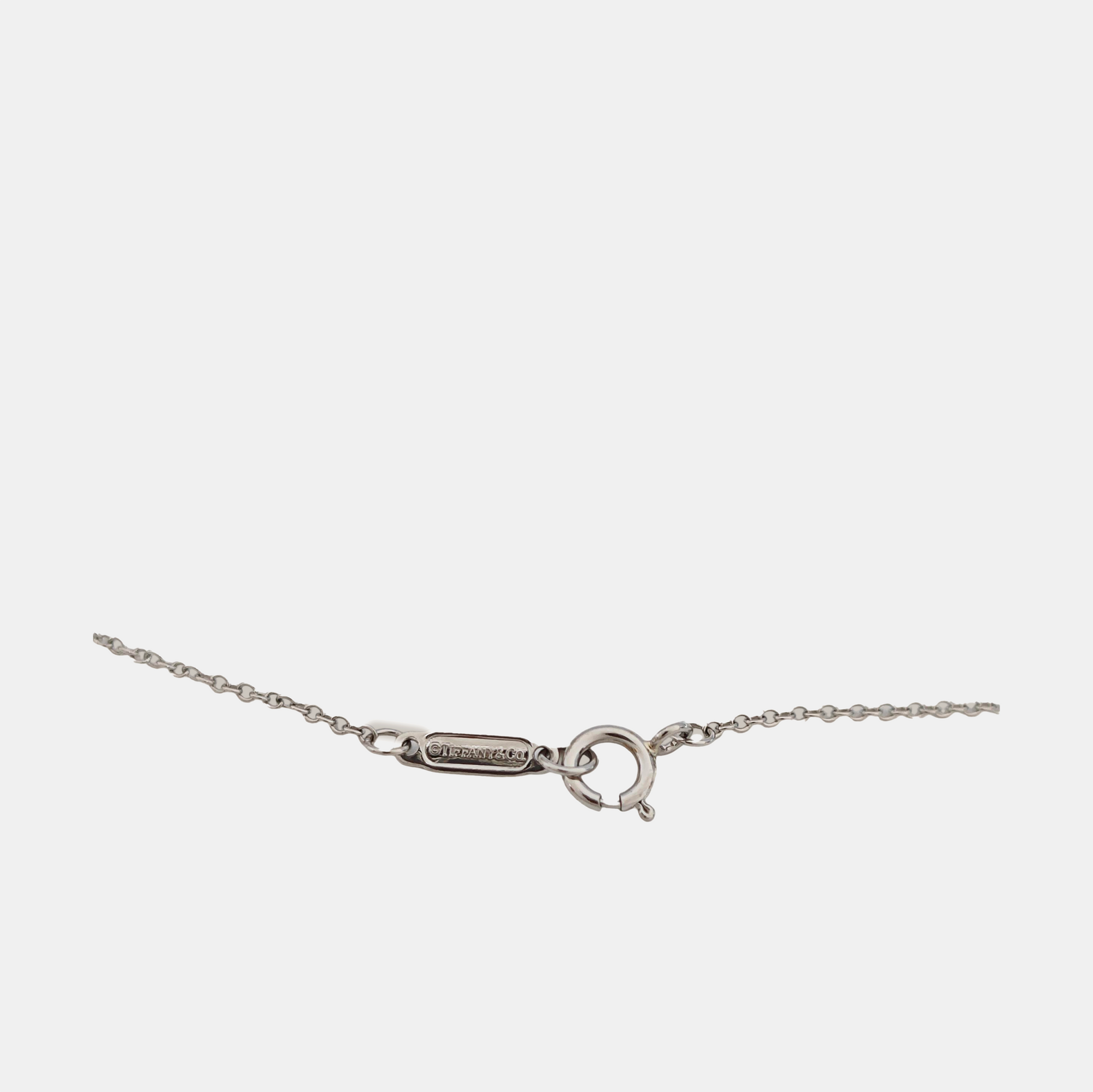 Platinum 950 Silver Necklace