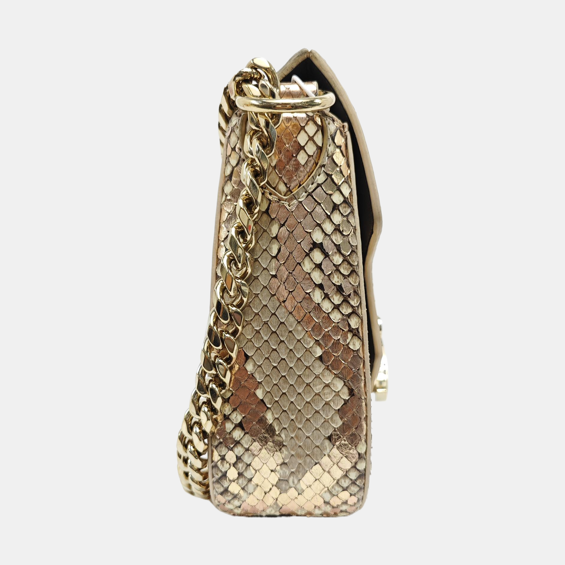 DIVAS' DREAM Python Multicolor