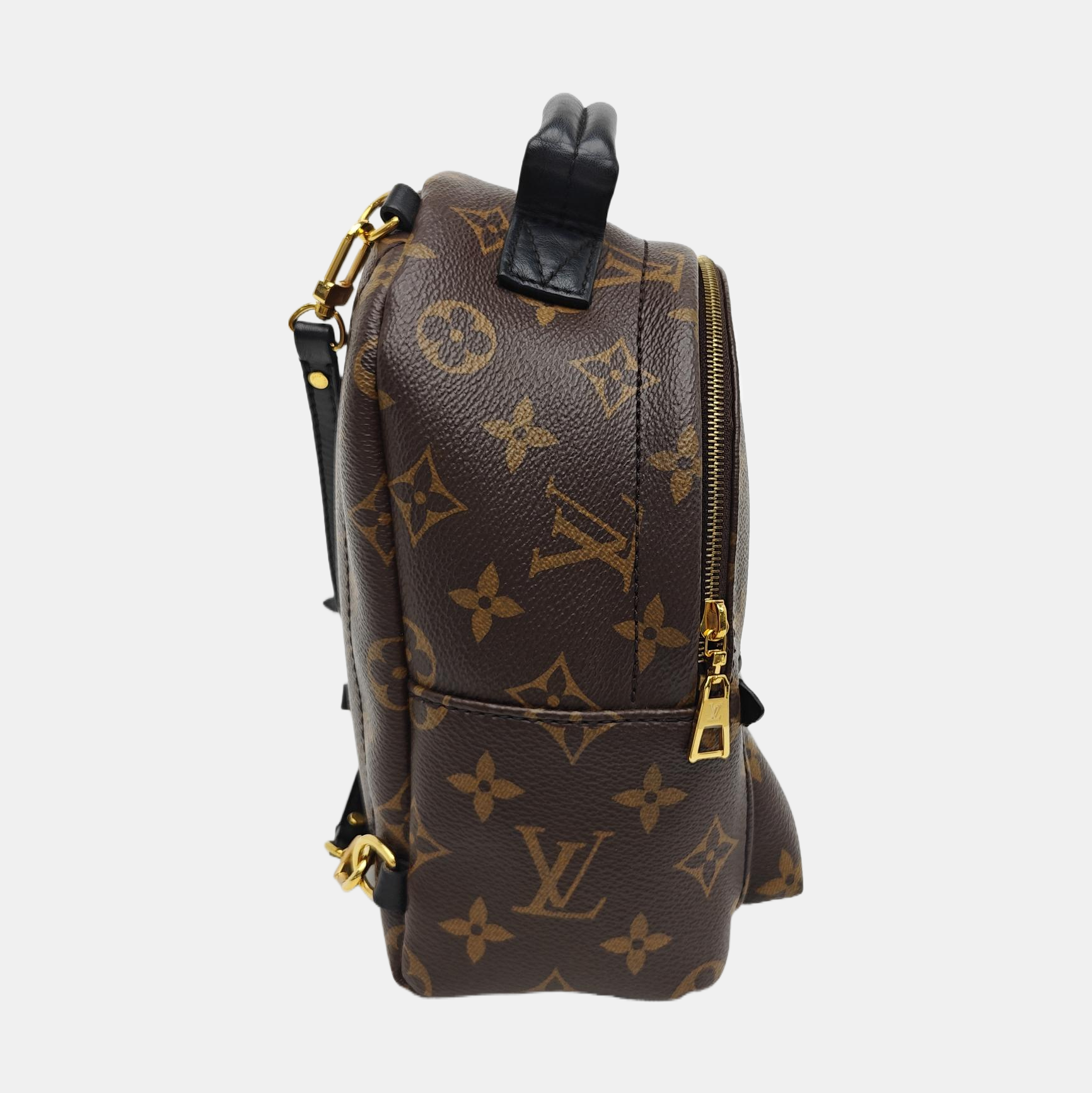 PALM SPRINGS Mini Monogram Coated Canvas Brown