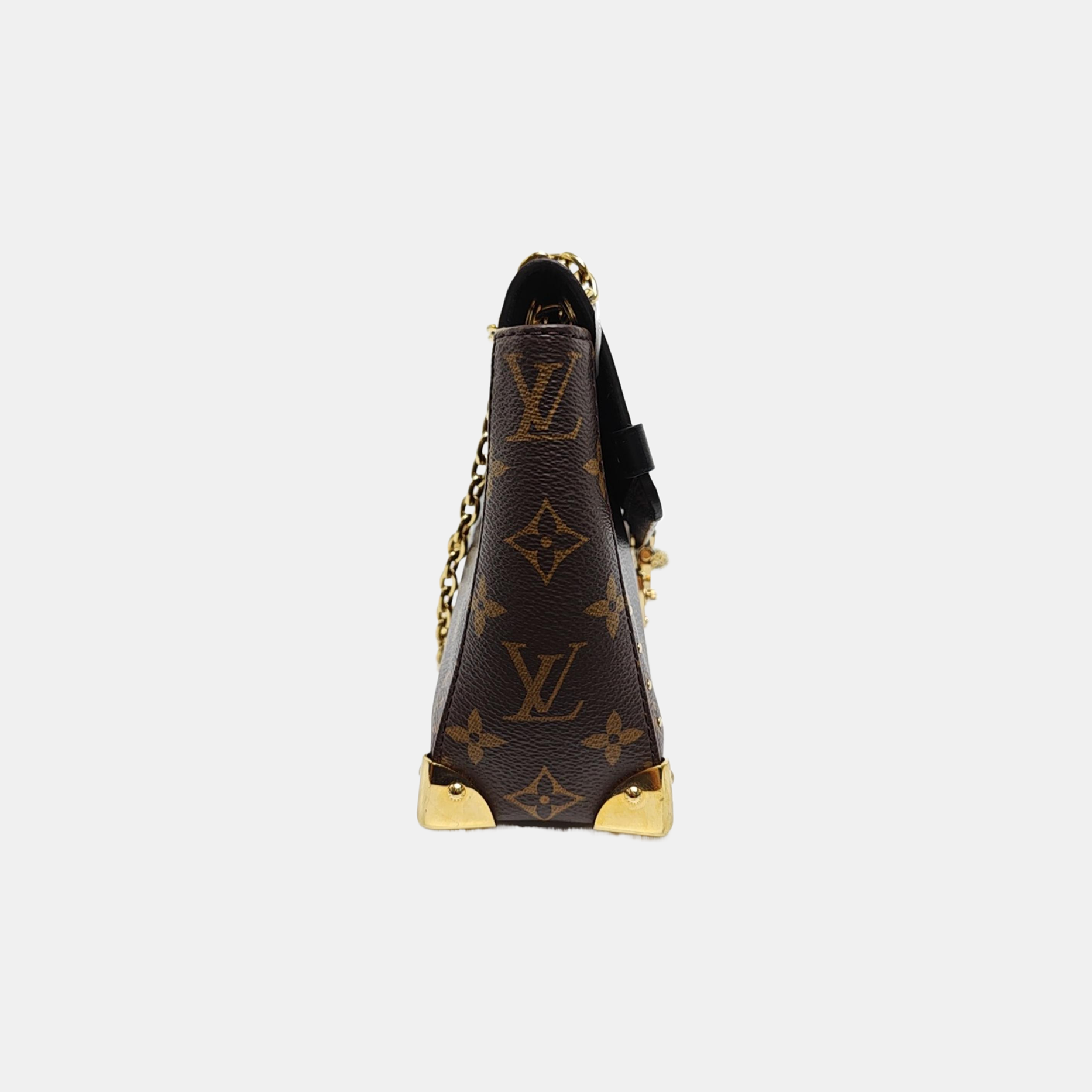 TRUNKIE Monogram Coated Canvas Brown