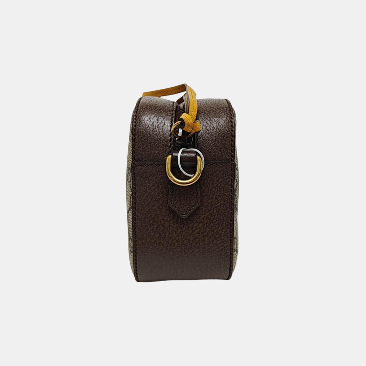 Neo Vintage Monogram Coated Canvas Beige
