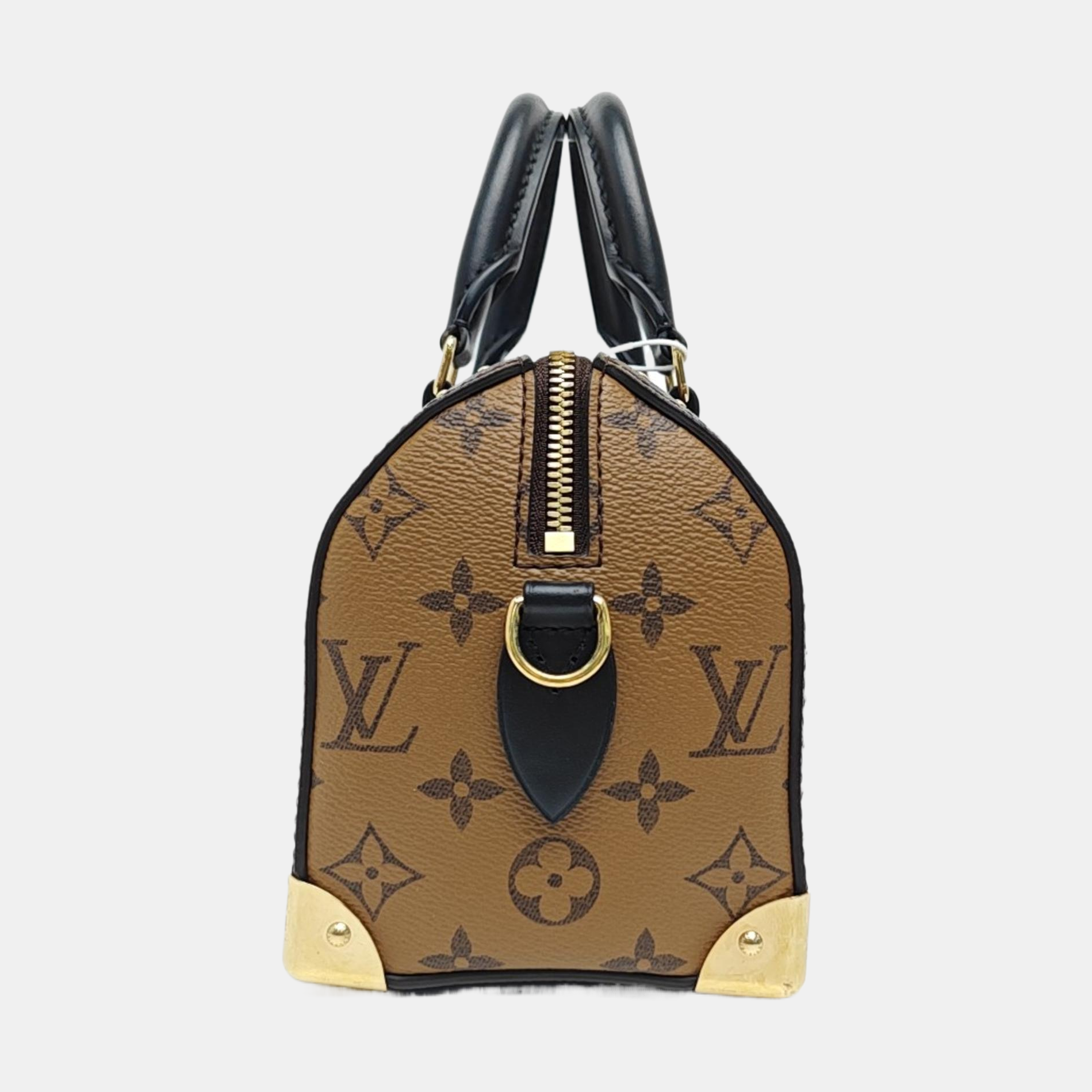 SPEEDY TRUNK 20 Monogram Coated Canvas Brown