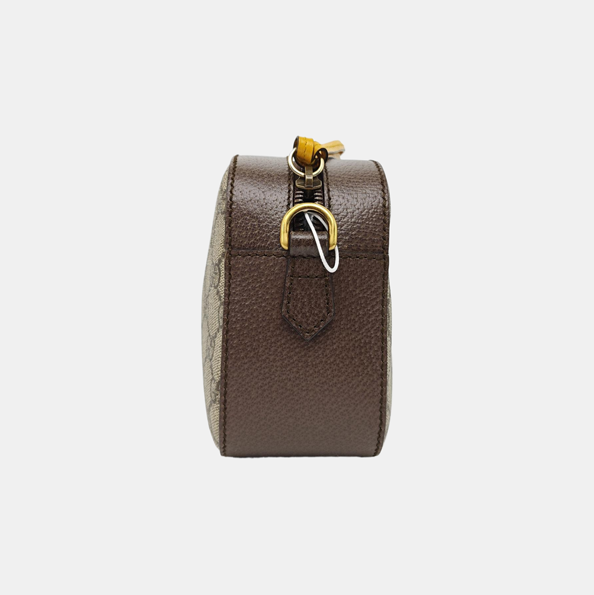 Neo Vintage Monogram Coated Canvas Beige