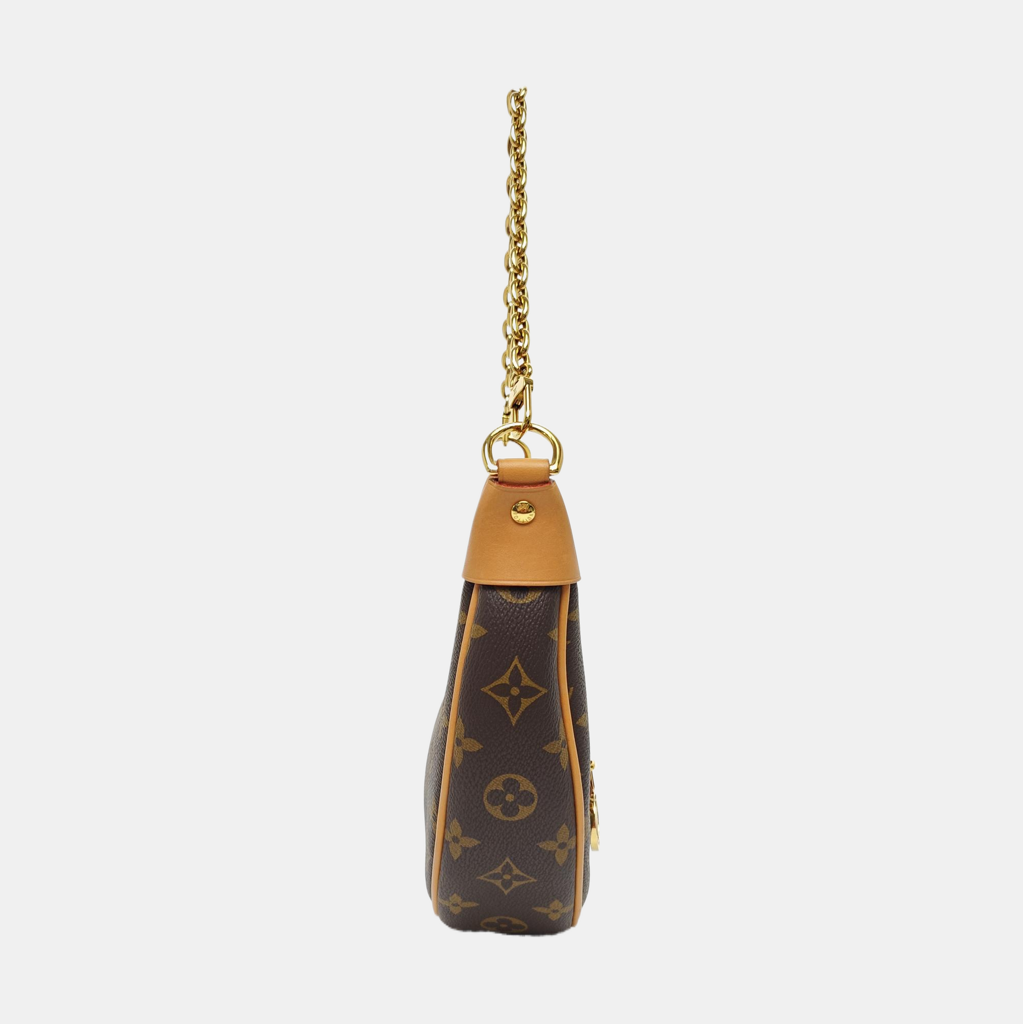 LOOP Monogram Coated Canvas Brown