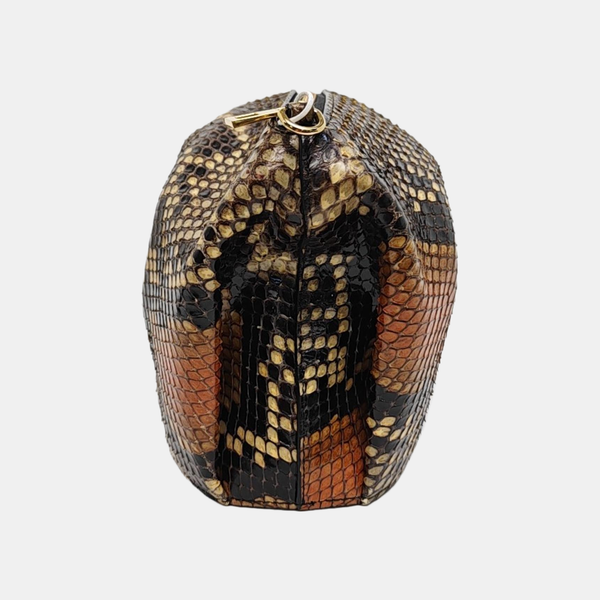 Animals Python Multicolor