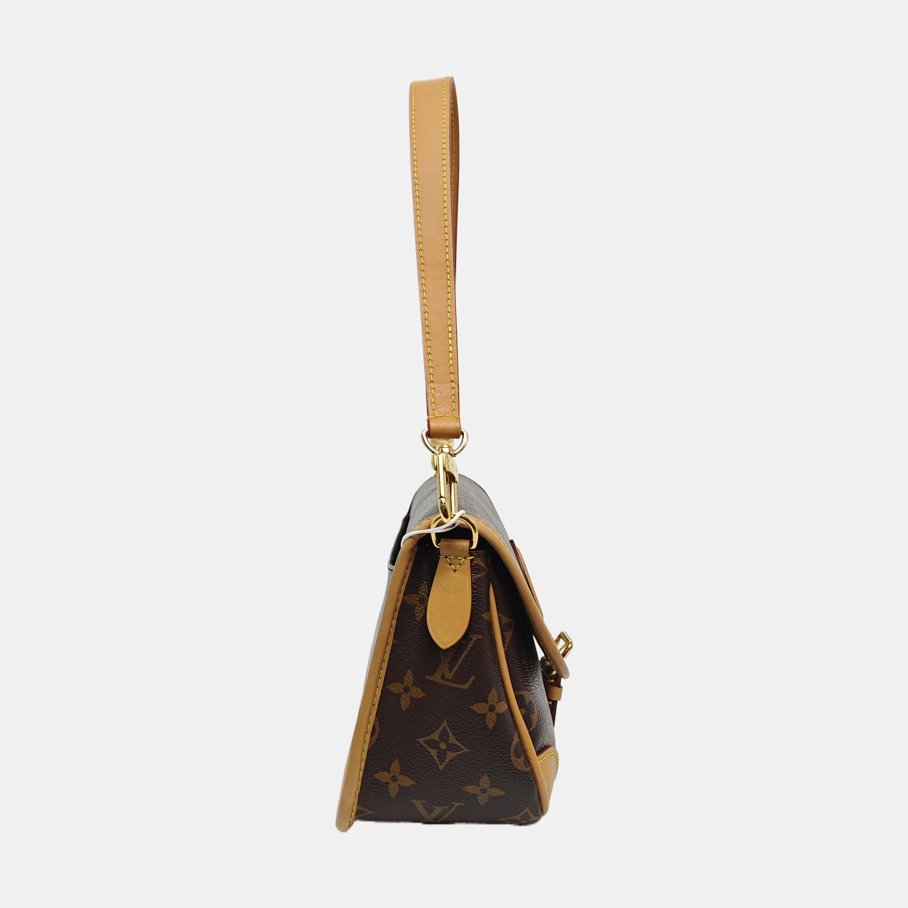 DIANE Monogram Coated Canvas Brown