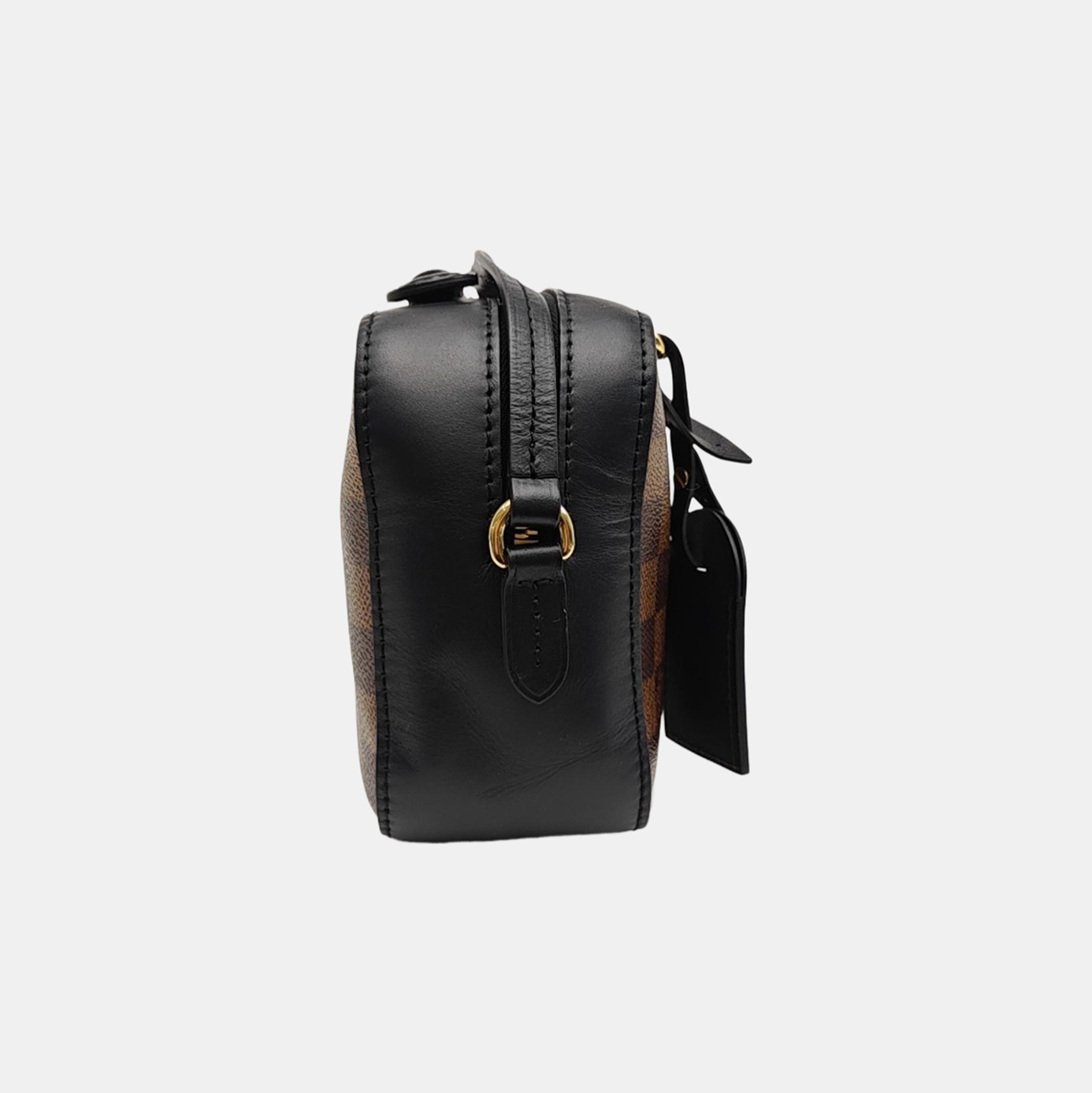 SANTA MONICA Damier Ebene Coated Canvas Brown