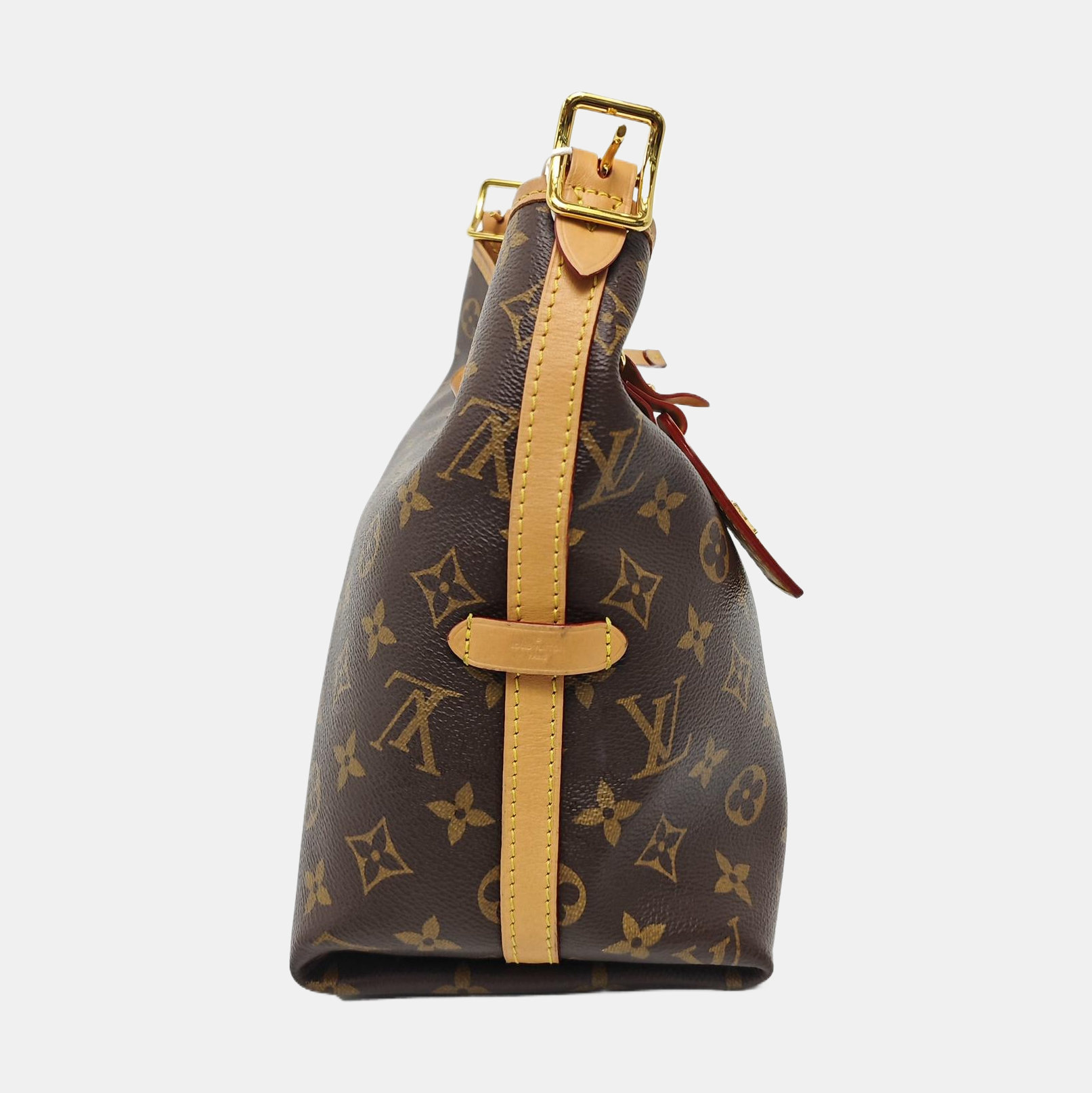 CARRYALL PM Monogram Coated Canvas Brown