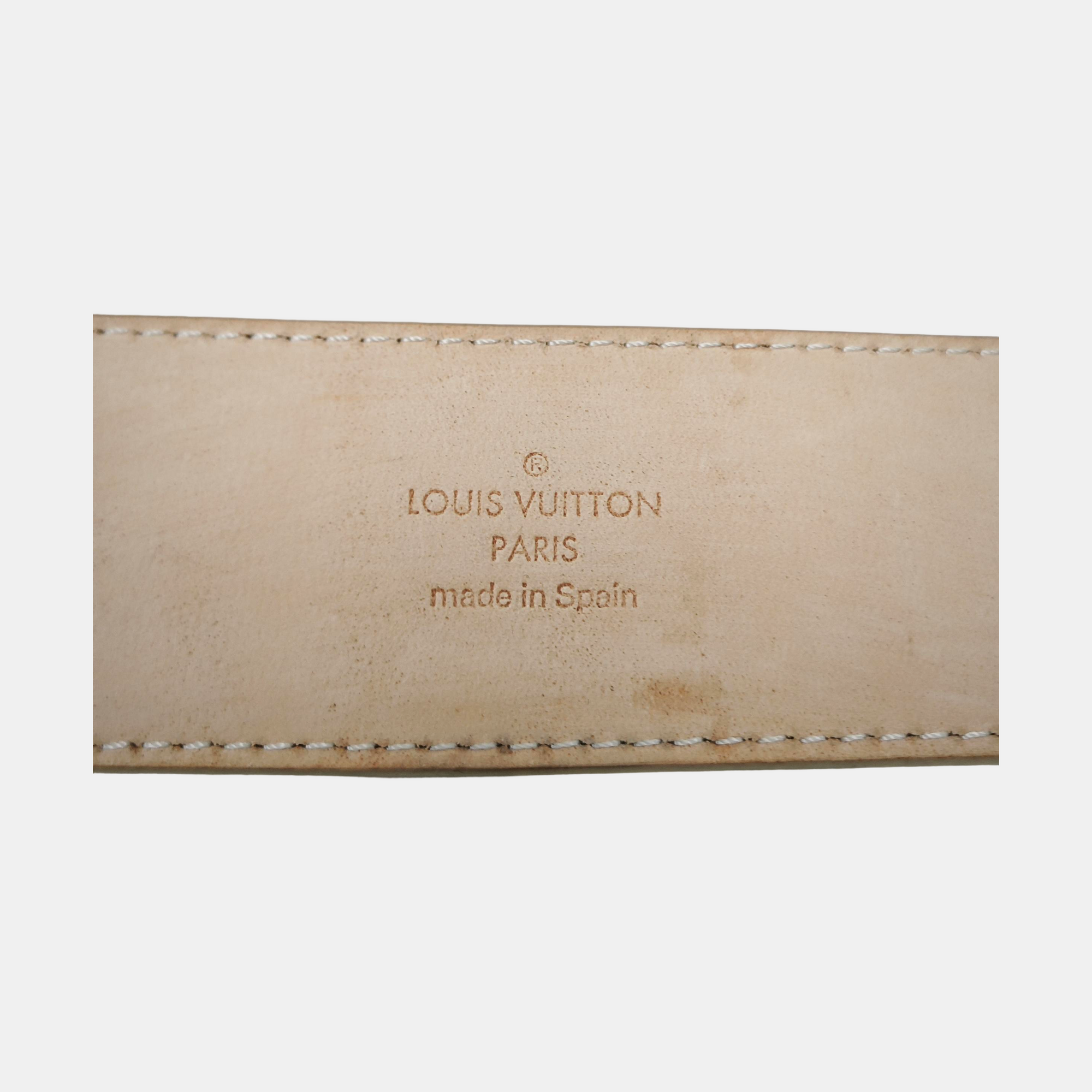 Coated Canvas Belt Multicolor
