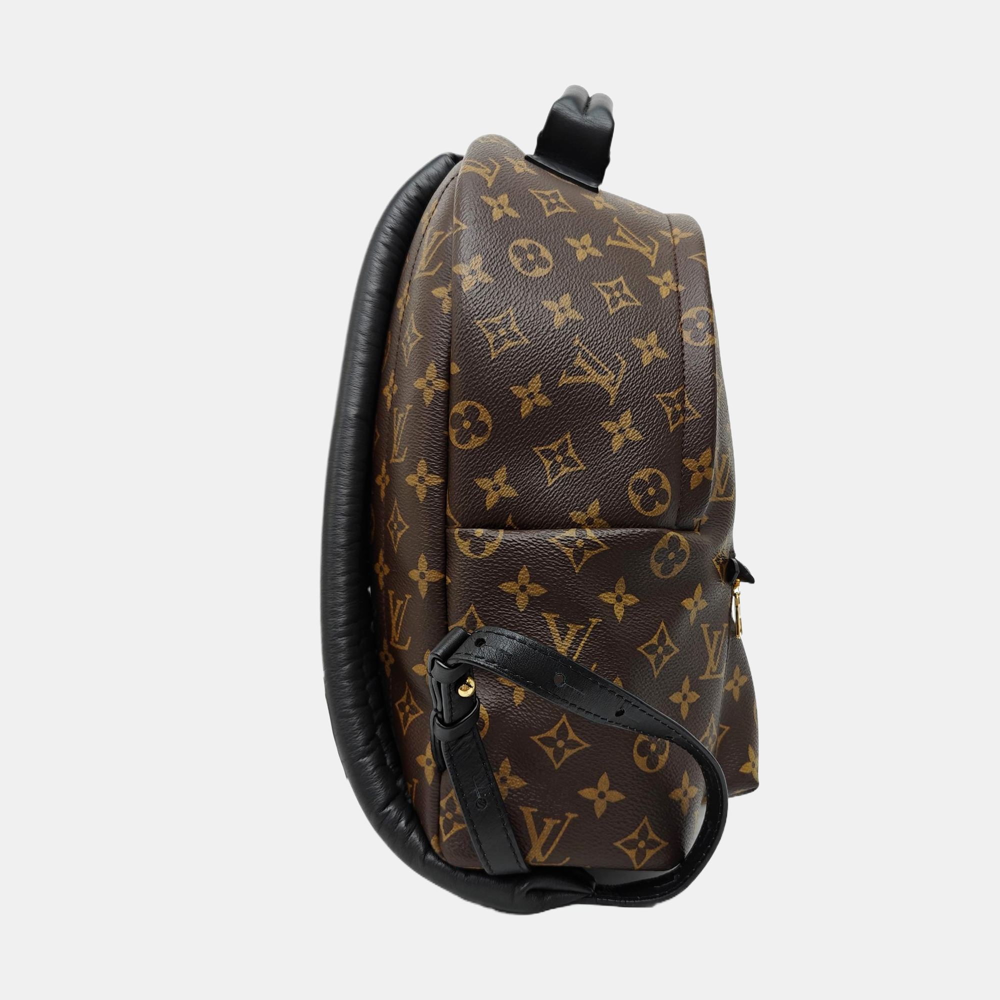 Monogram Coated Canvas Backpack Brown