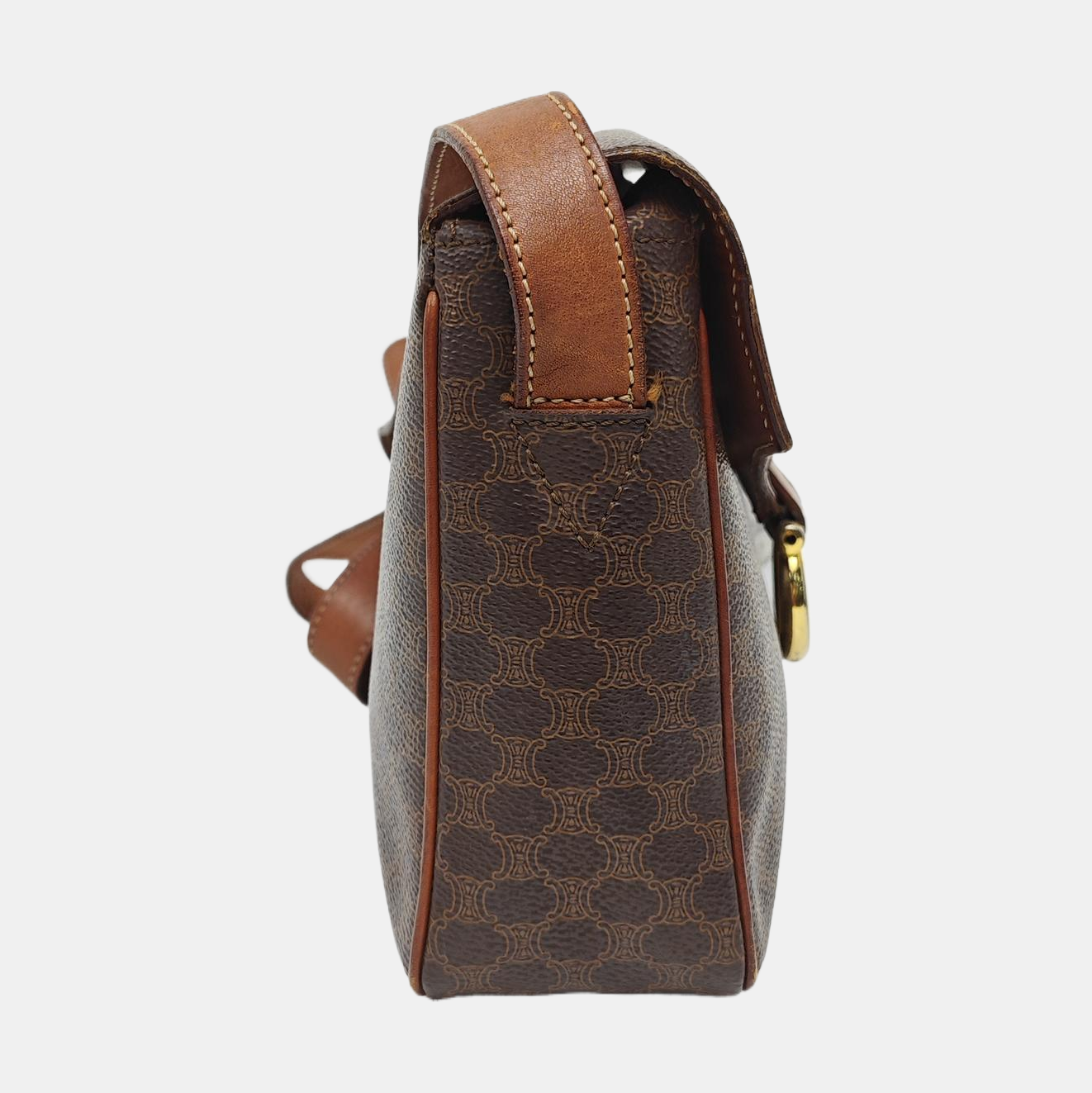 Coated Canvas Brown