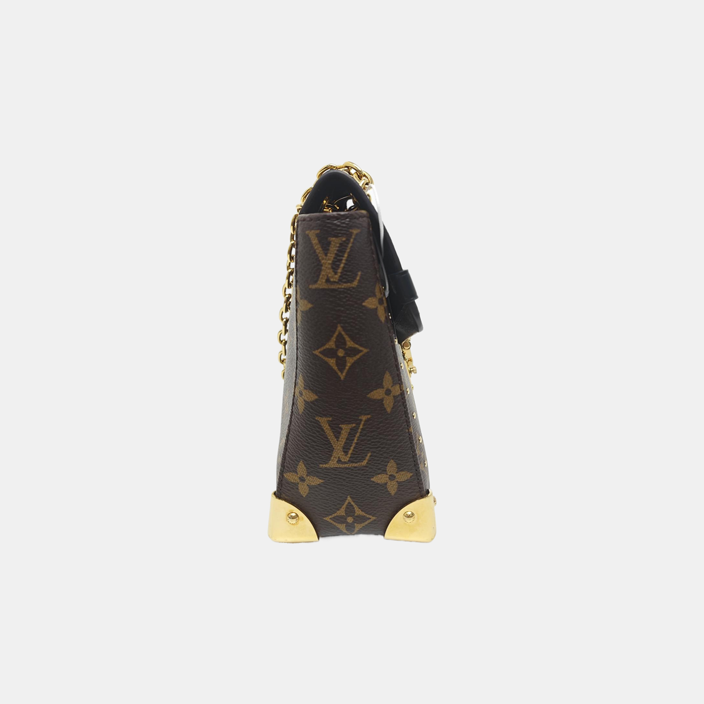 TRUNKIE Monogram Coated Canvas Brown