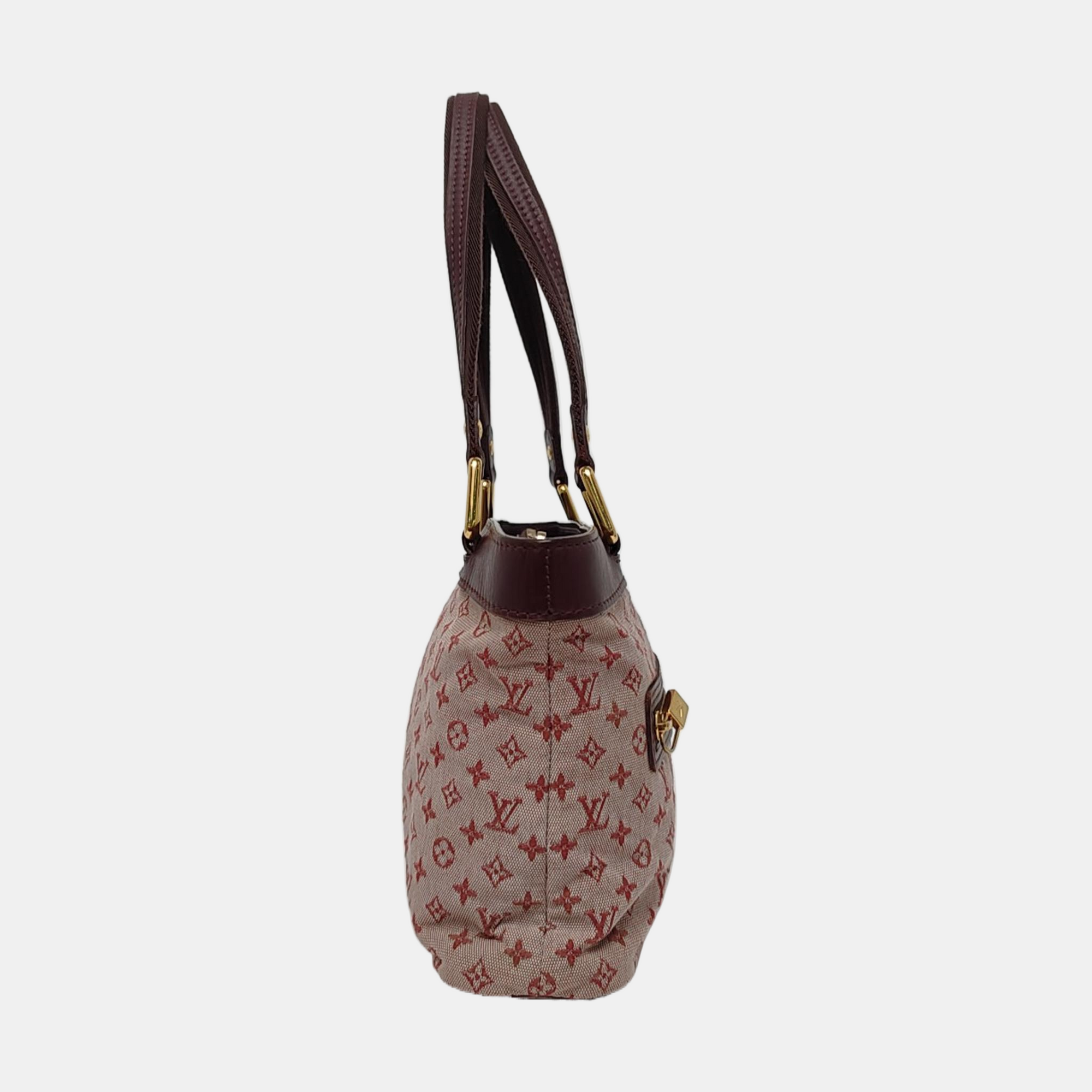 LUCILLE PM Monogram Canvas Pink