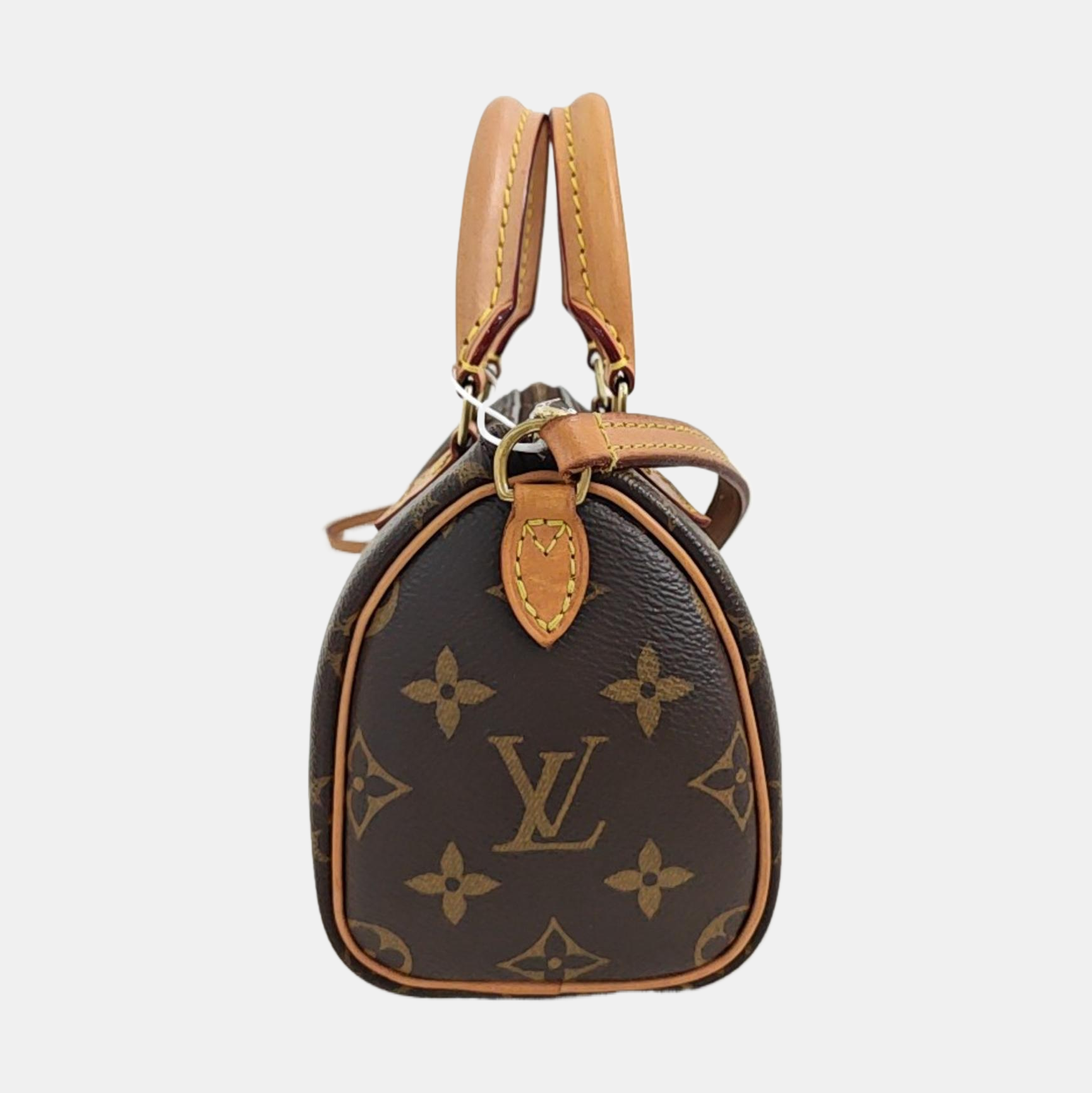 SPEEDY Nano Monogram Coated Canvas Brown