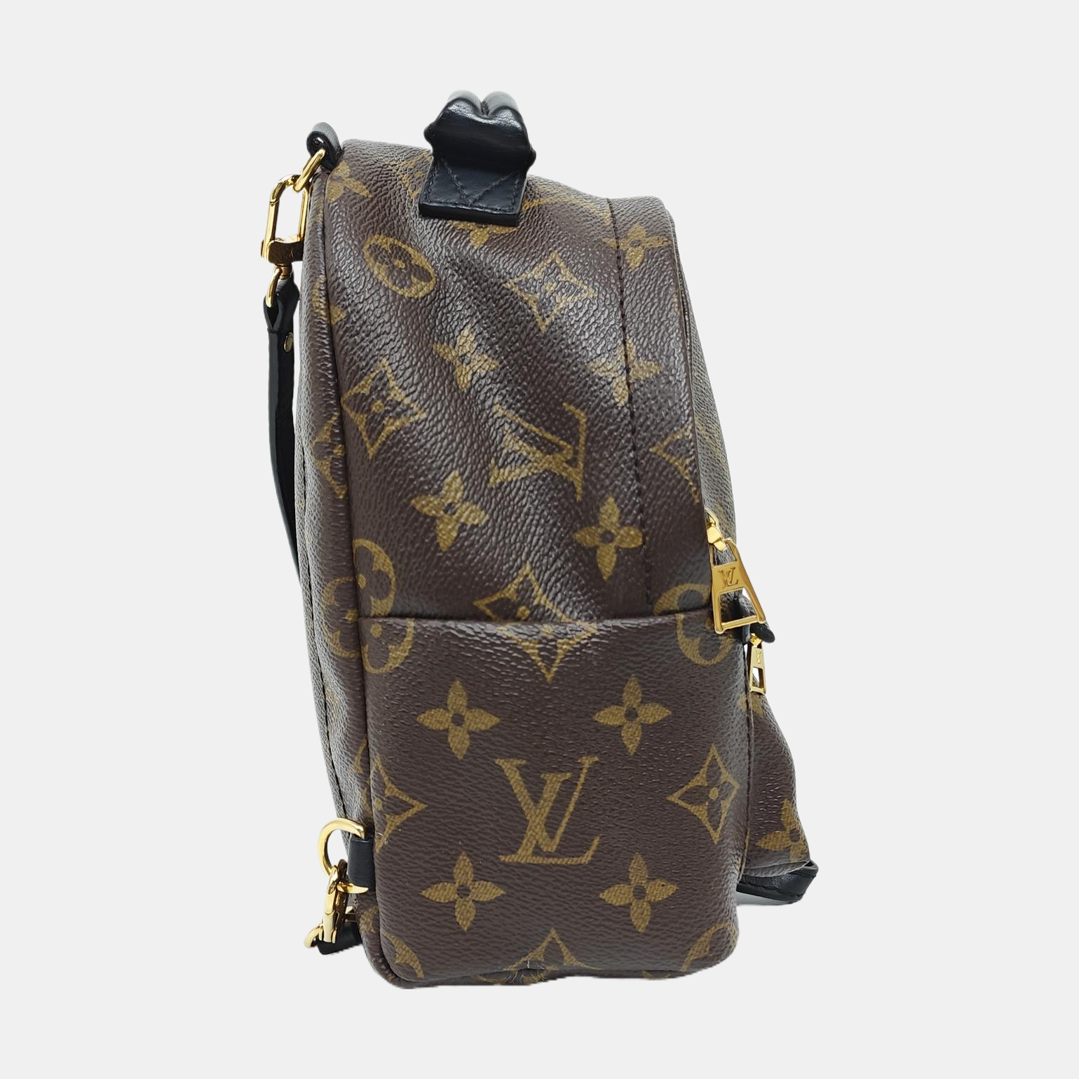 PALM SPRINGS Mini Monogram Coated Canvas Brown