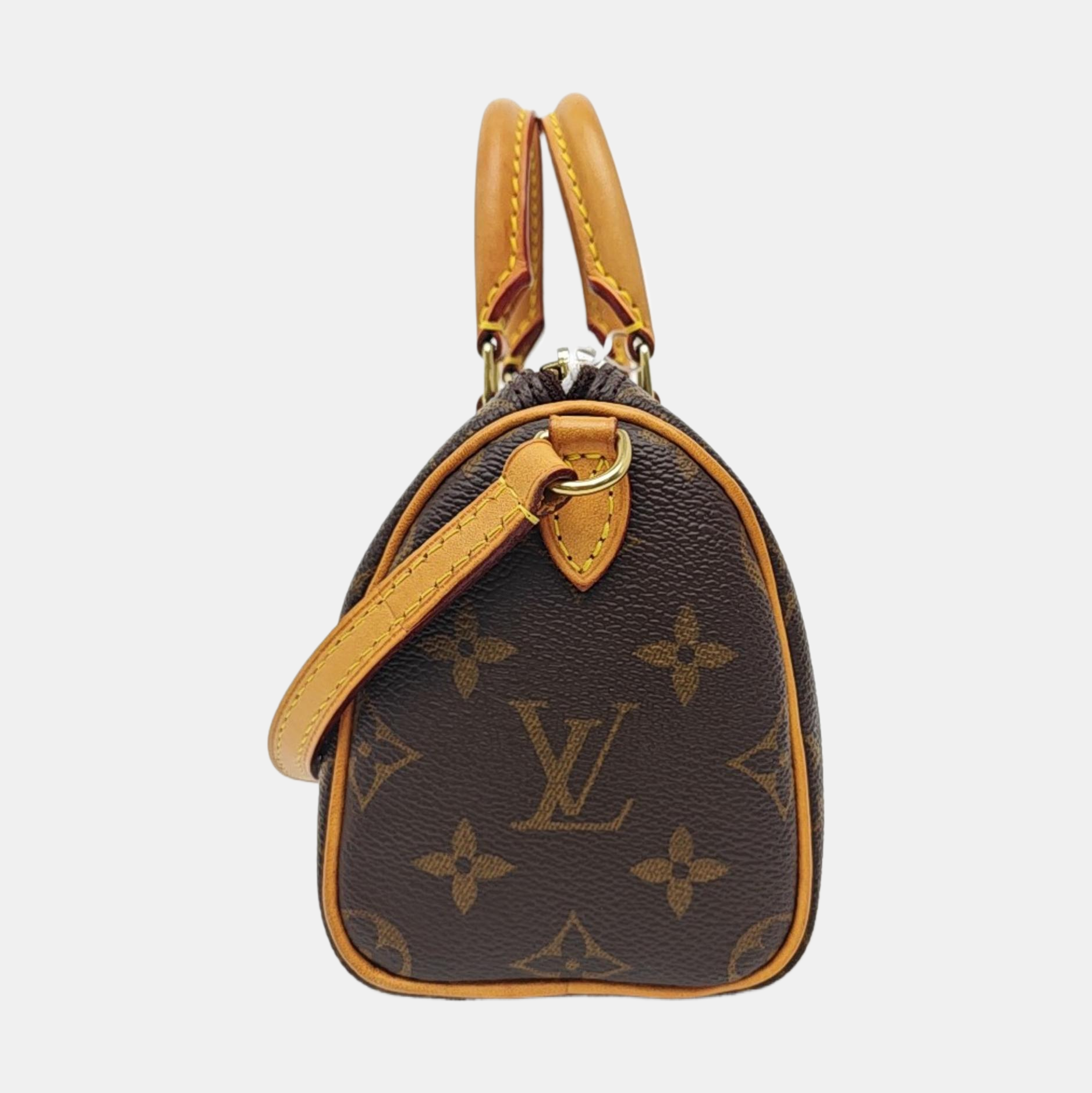 SPEEDY Nano Monogram Coated Canvas Brown