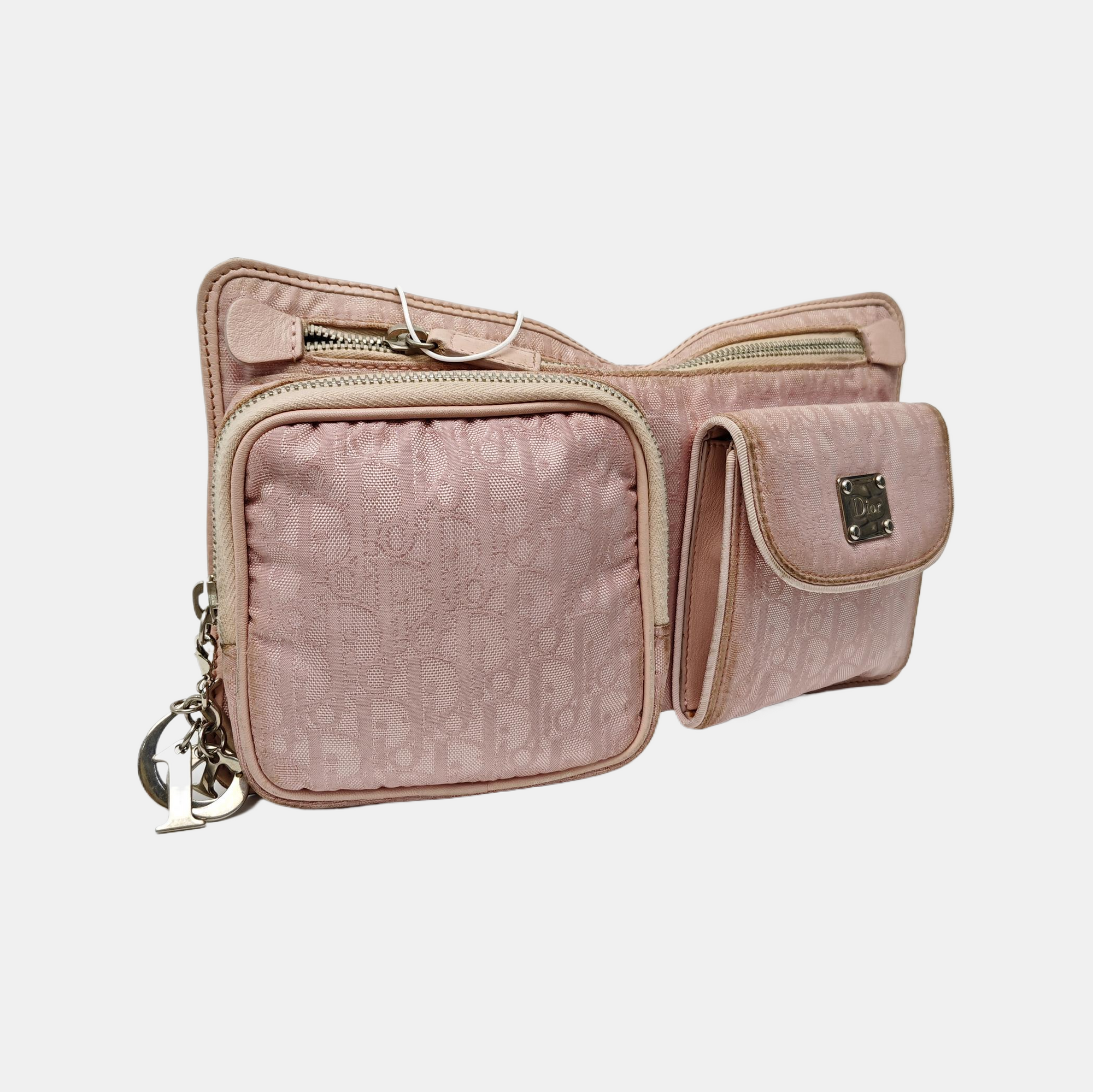 Oblique Canvas Belt Bag Pink