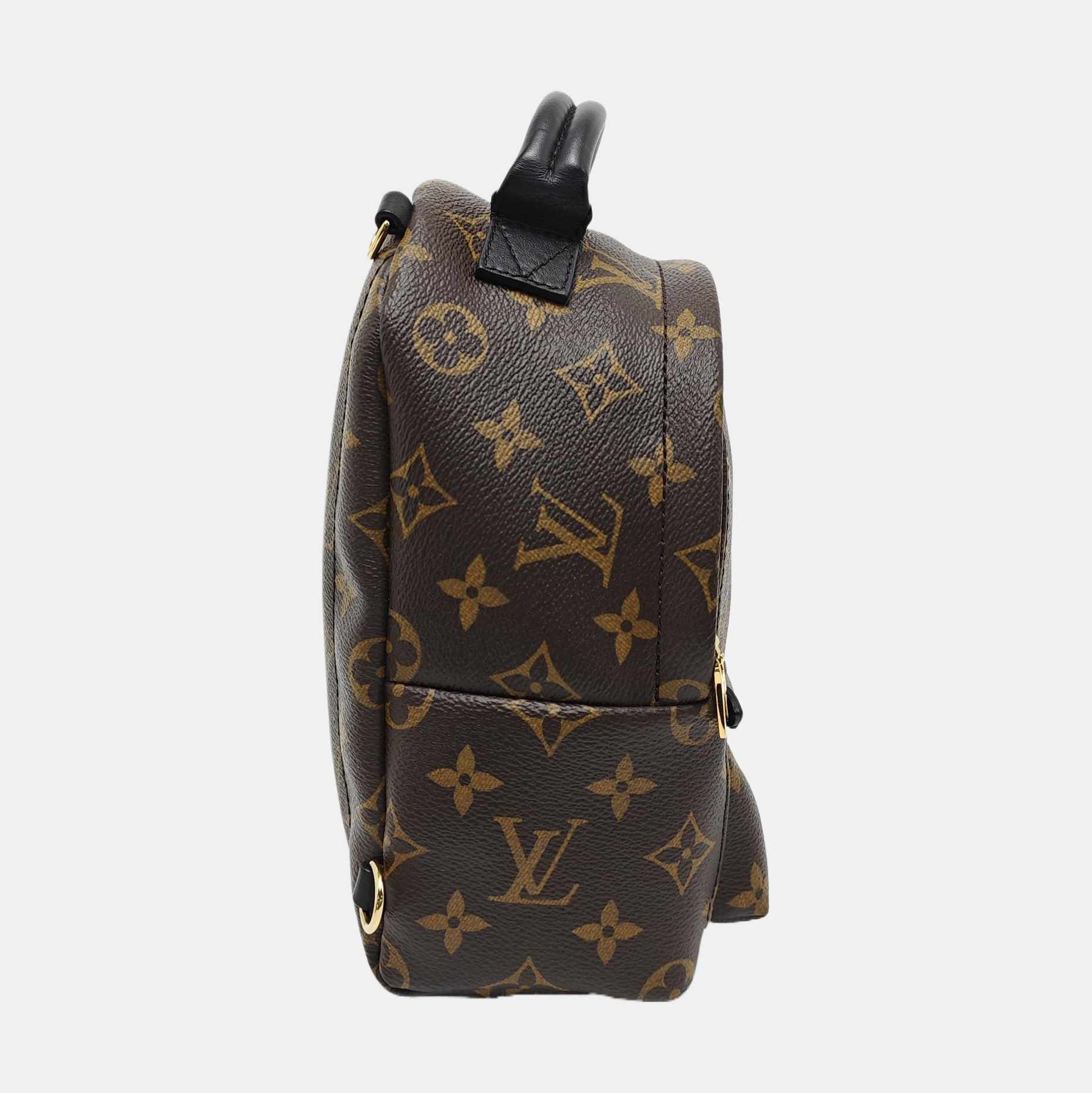 PALM SPRINGS Mini Monogram Coated Canvas Brown