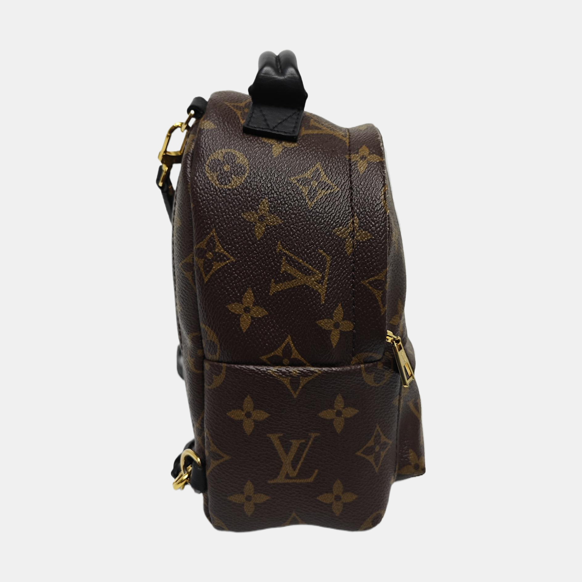 PALM SPRINGS Mini Monogram Coated Canvas Brown