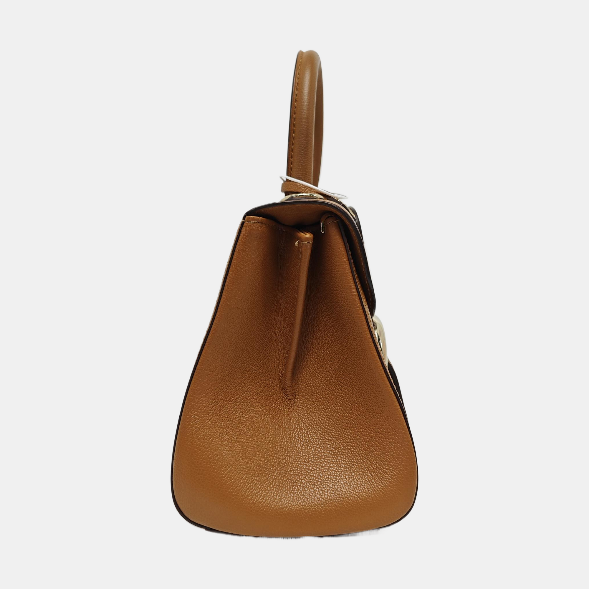 Brillant Mini Calfskin Brown