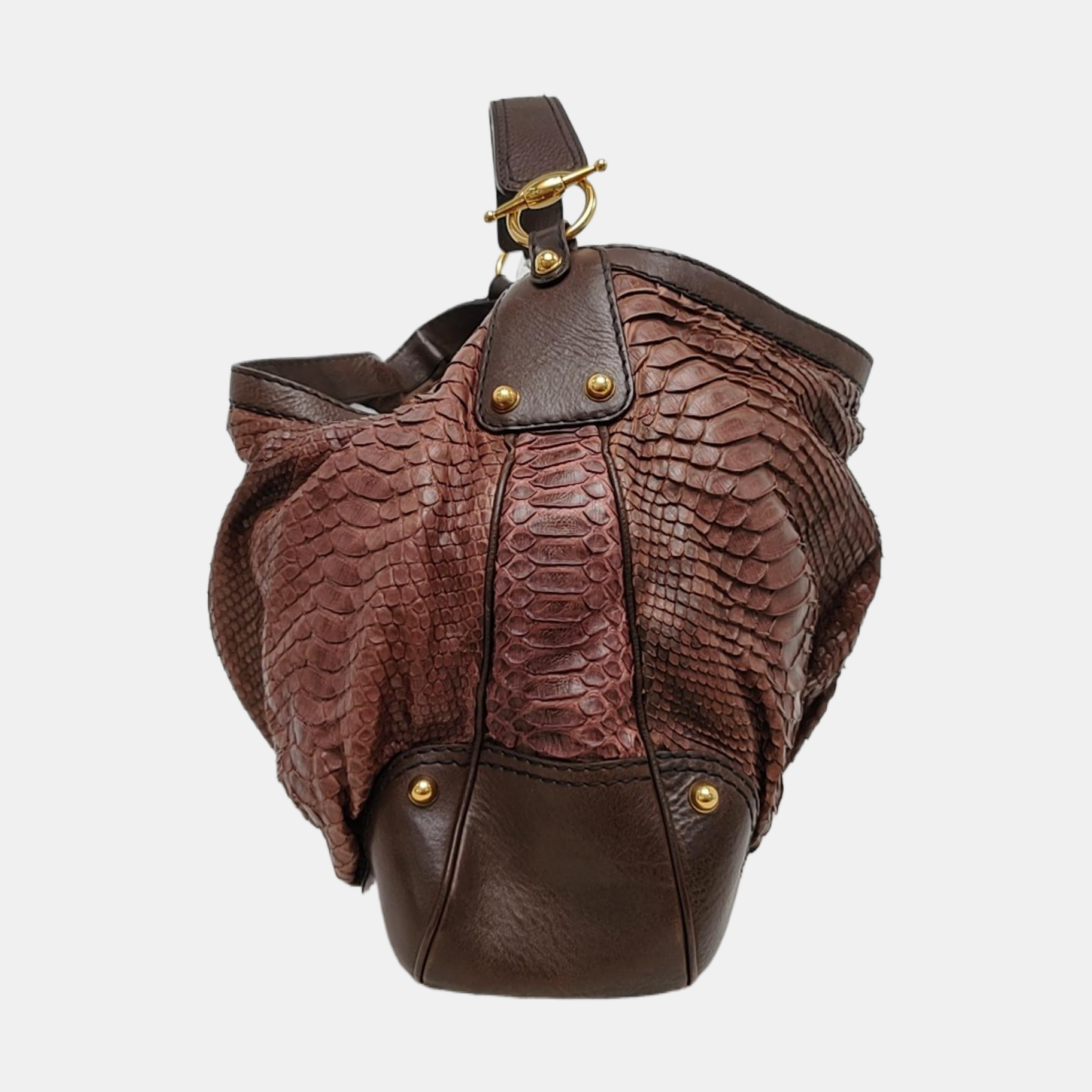 Python Brown