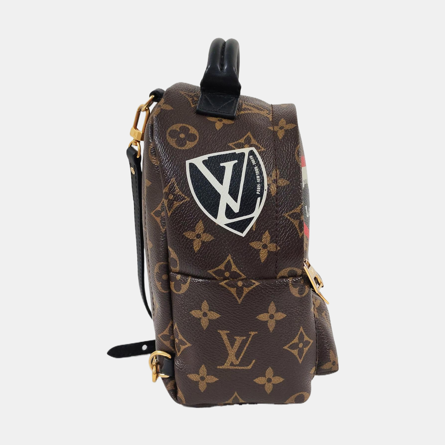 PALM SPRINGS Mini Monogram Coated Canvas Brown