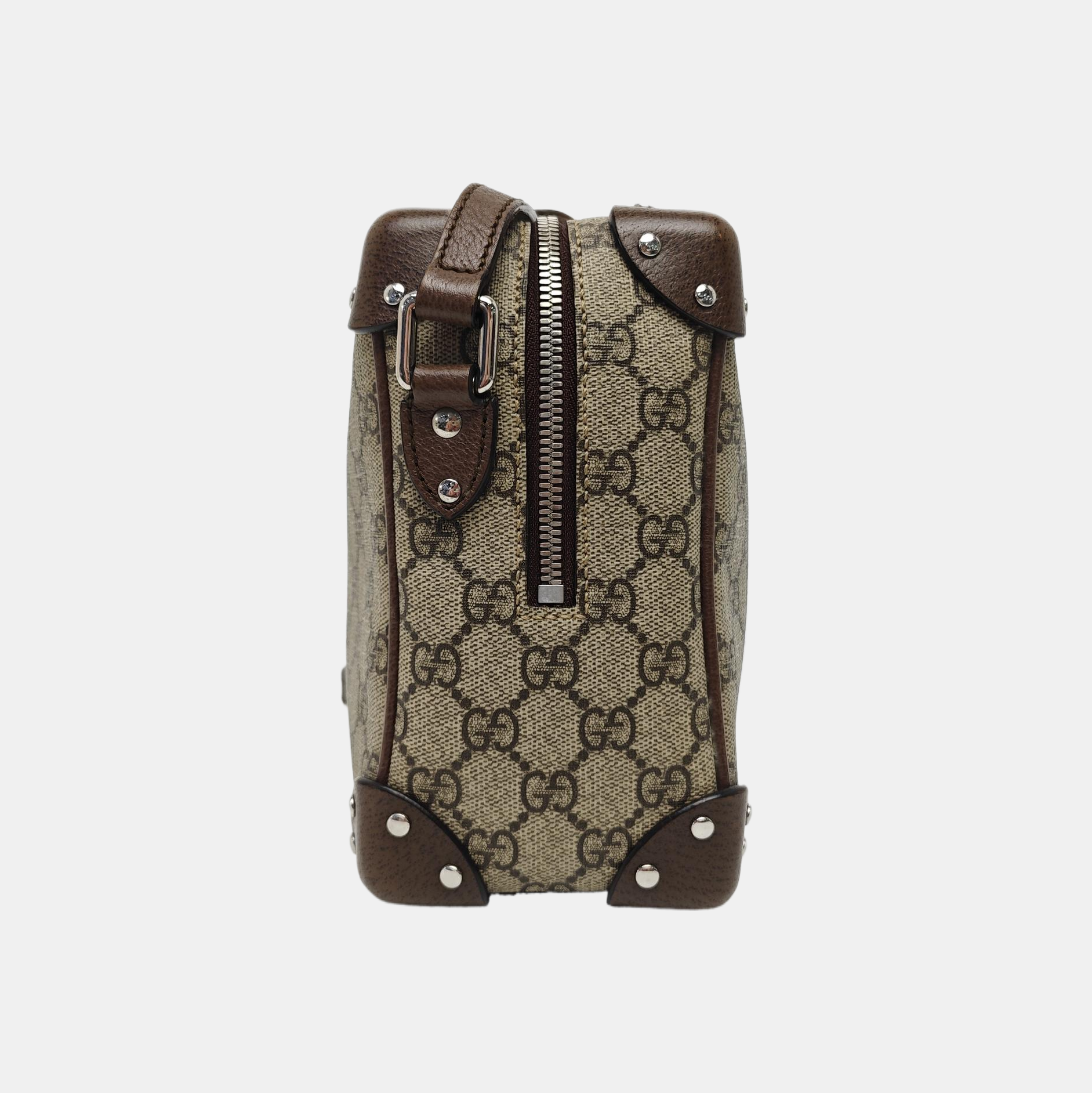 Trunk Monogram Coated Canvas Brown