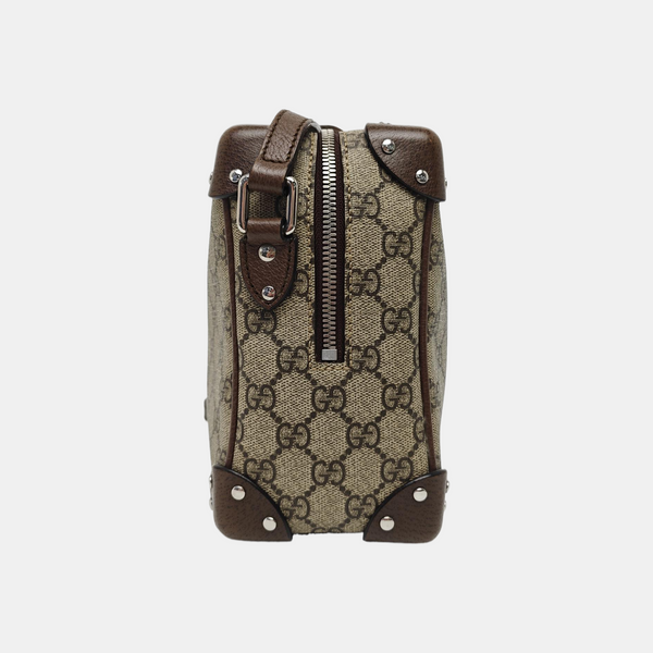 Trunk Monogram Coated Canvas Brown