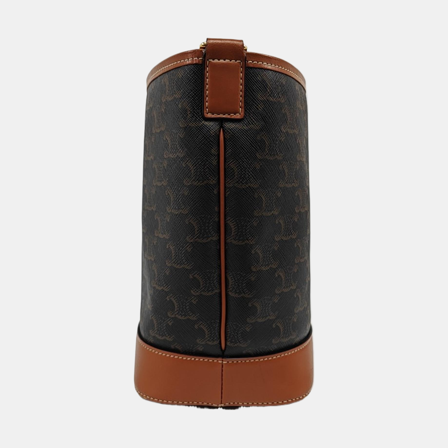 TRIOMPHE CANVAS Small Coated Canvas Brown