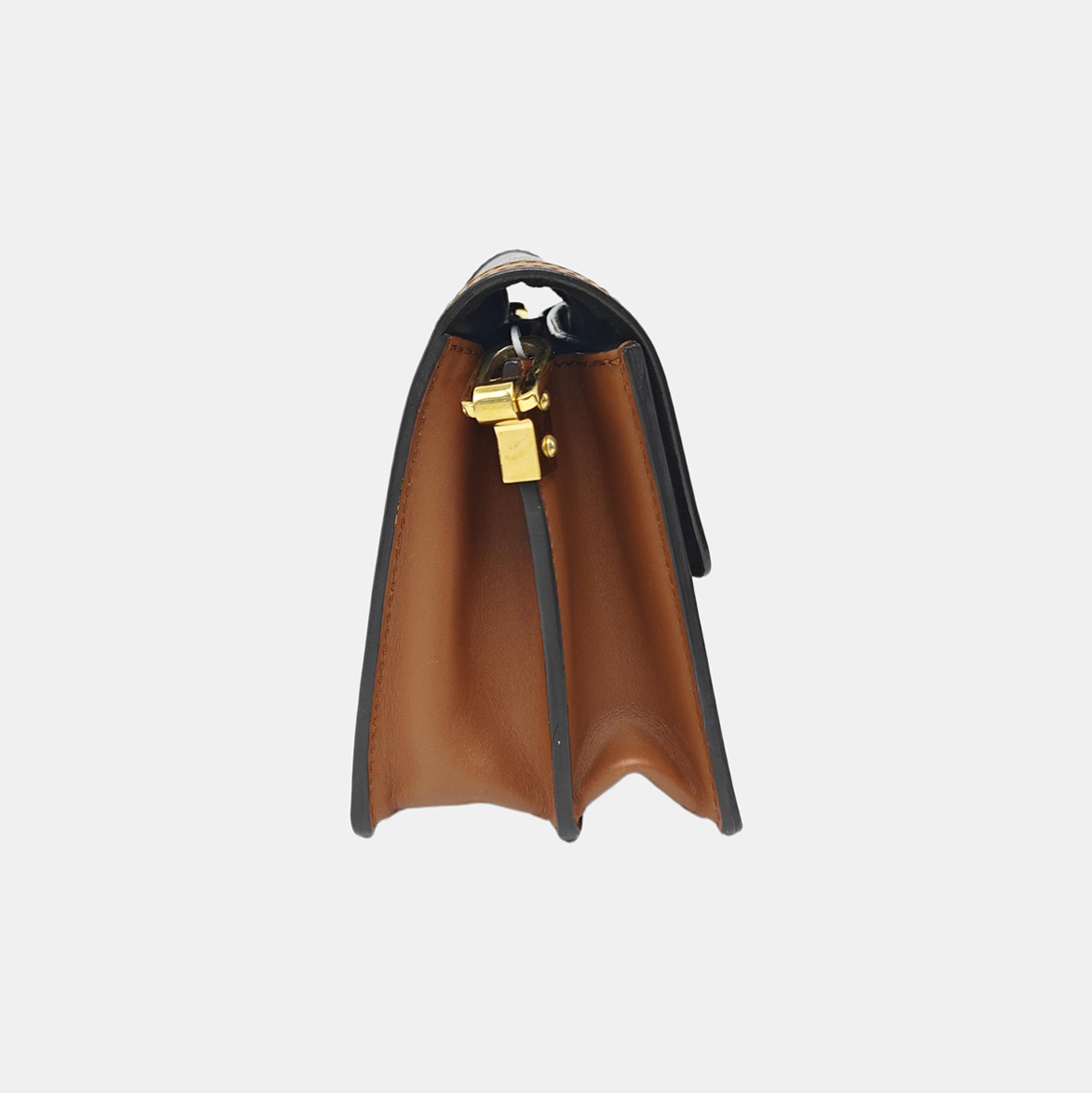DAUPHINE Mini Monogram Coated Canvas Brown
