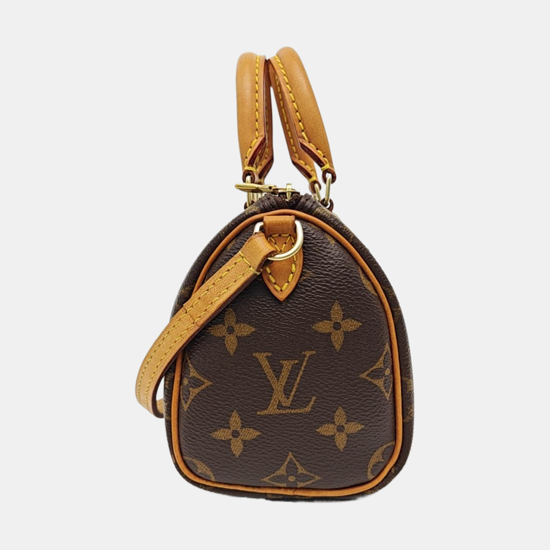 SPEEDY Nano Monogram Coated Canvas Brown