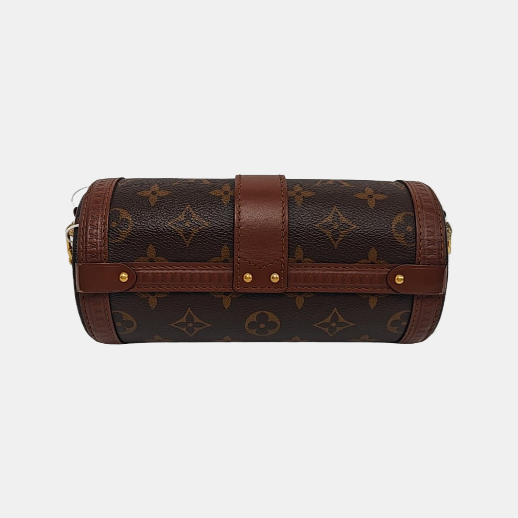 PAPILLON 19 Monogram Coated Canvas Brown