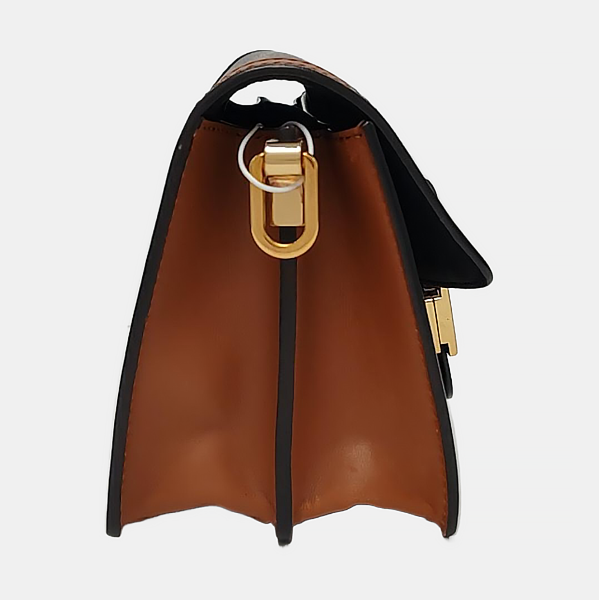 DAUPHINE Mini Monogram Coated Canvas Brown