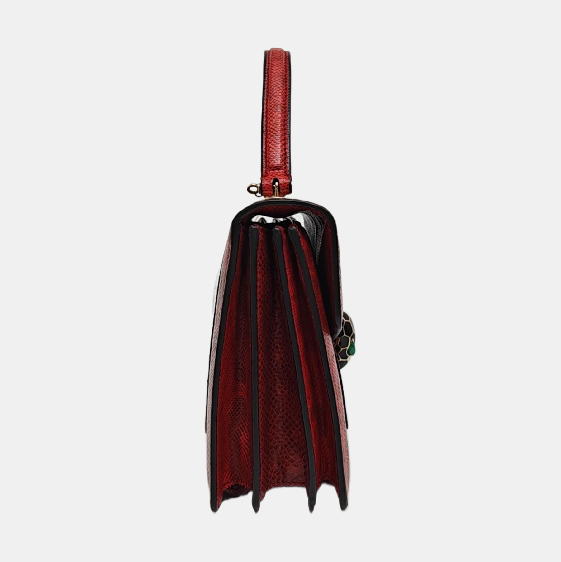 SERPENTI FOREVER Python Red