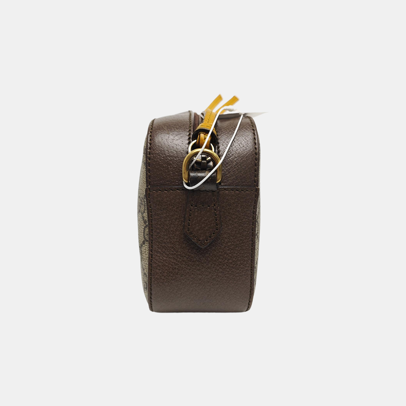 Neo Vintage Monogram Coated Canvas Beige
